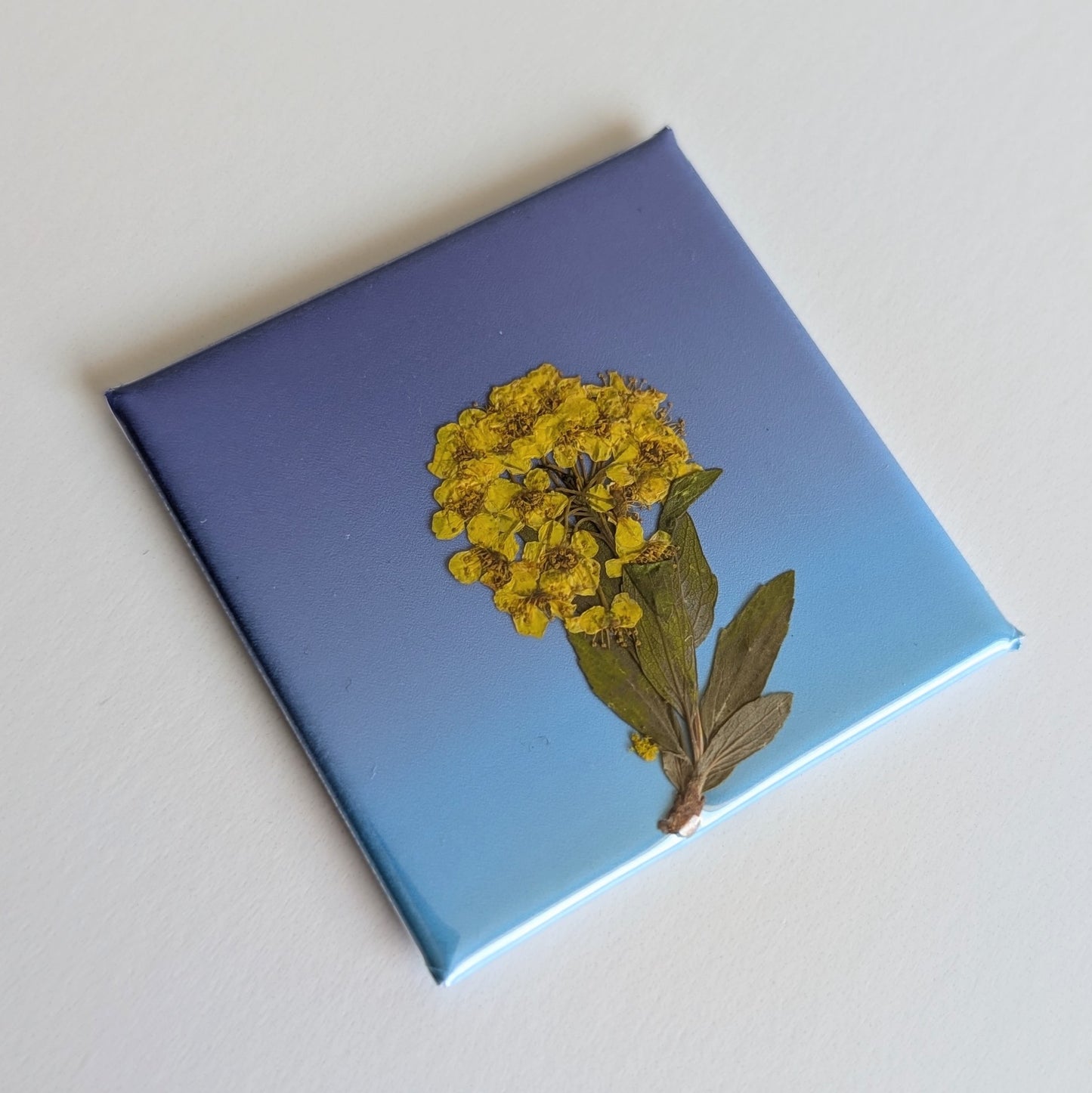 Real Flower Magnets