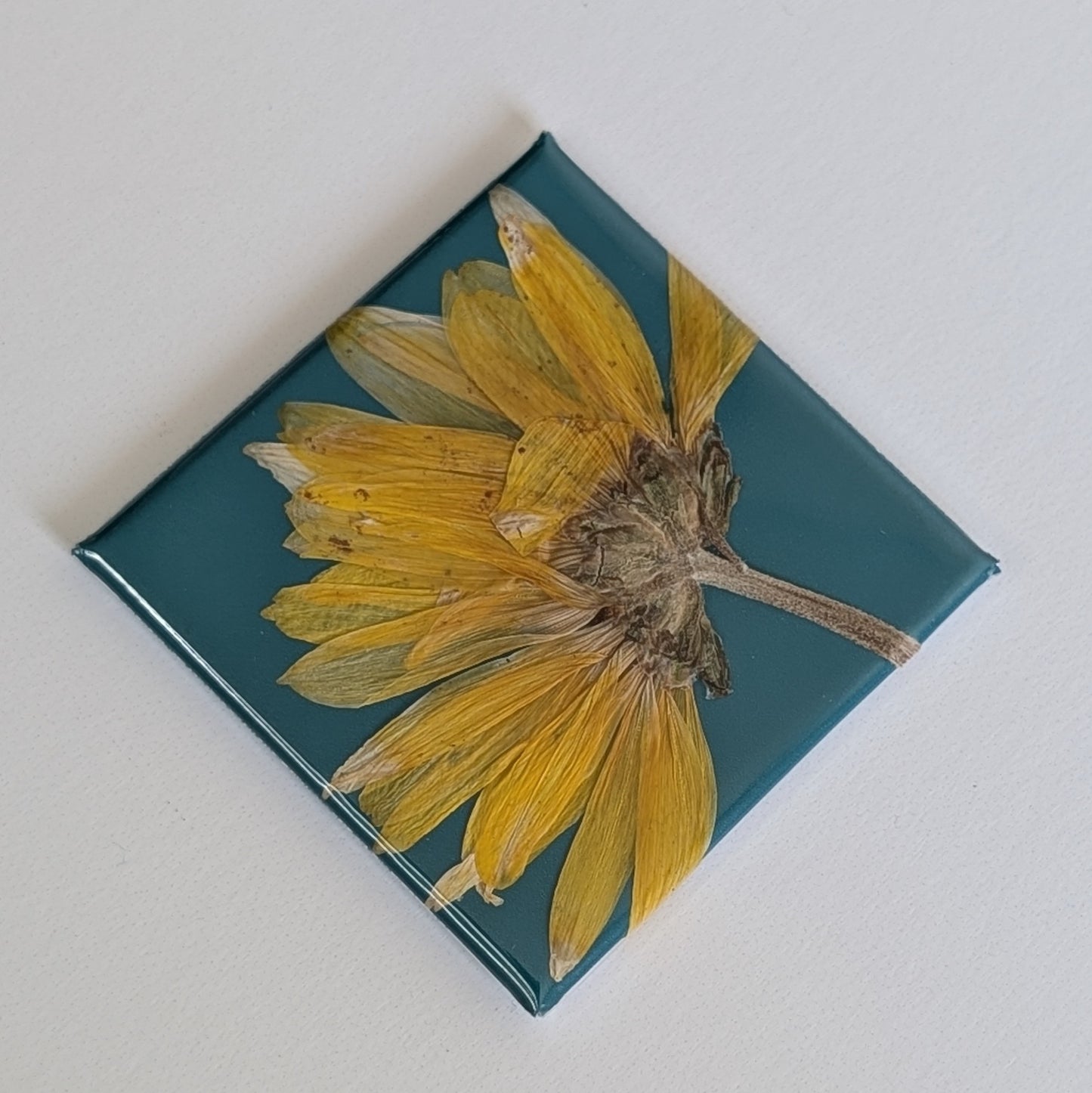 Real Flower Magnets
