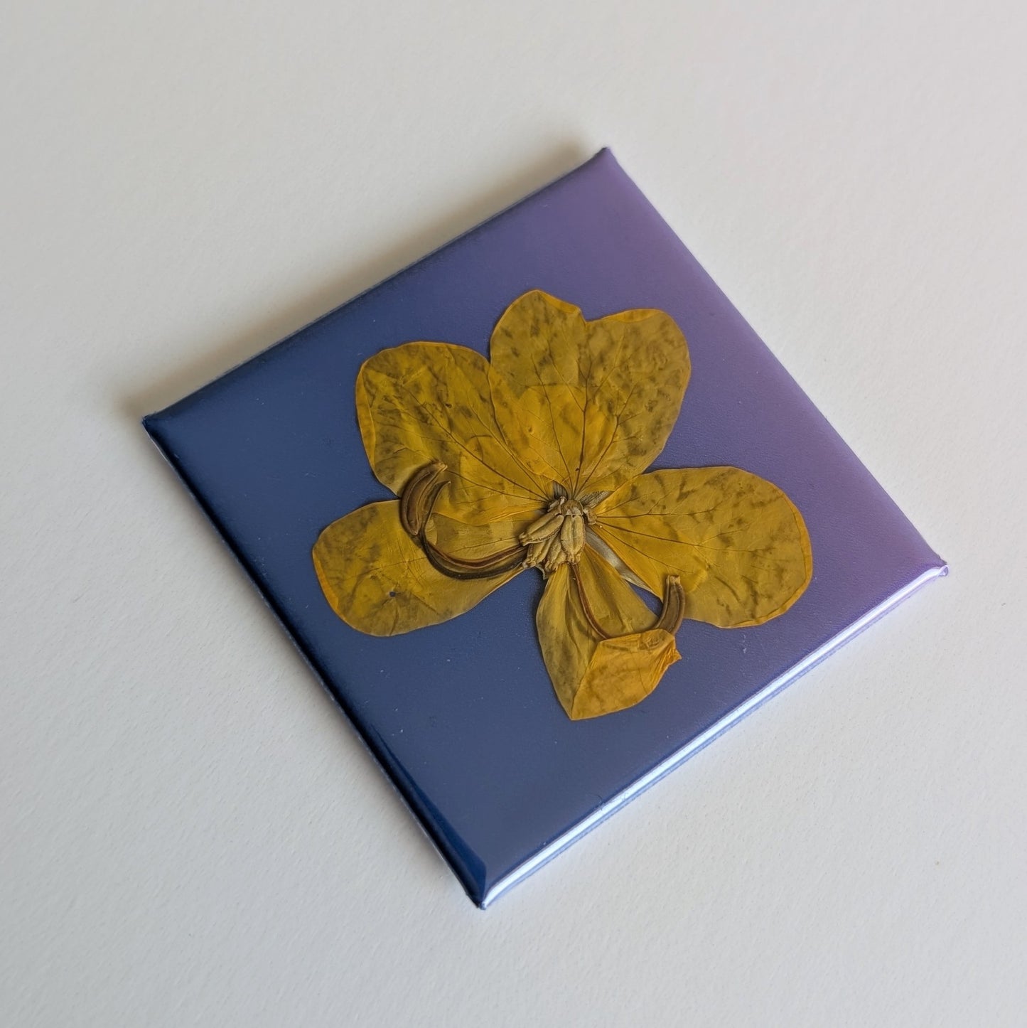 Real Flower Magnets