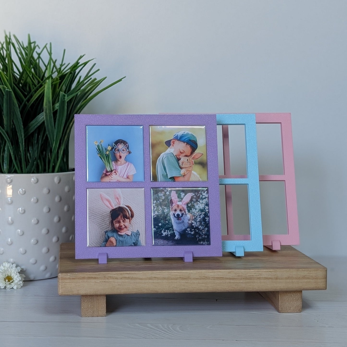 Spring Collection: Classic Frame