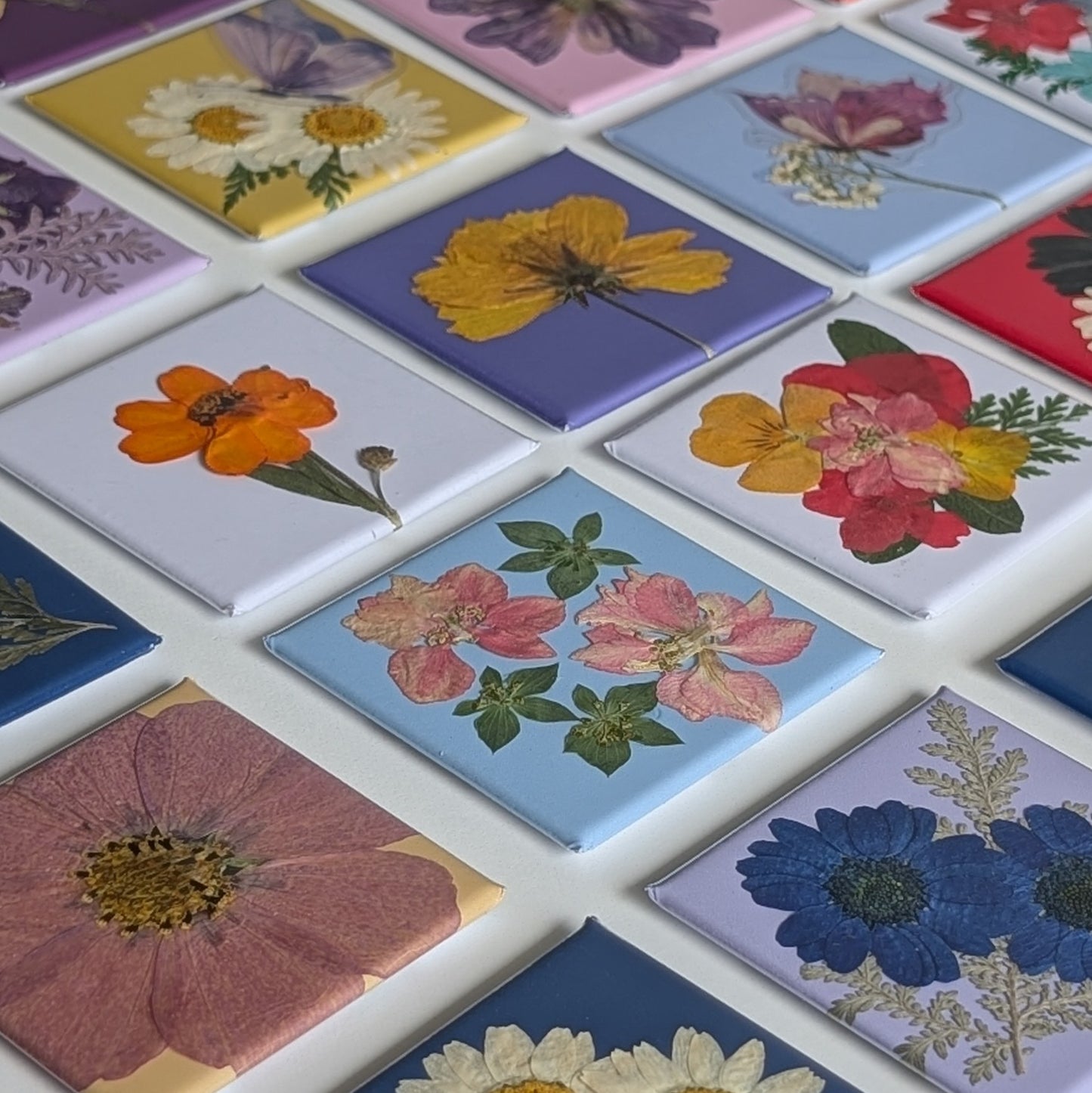 Real Flower Magnets