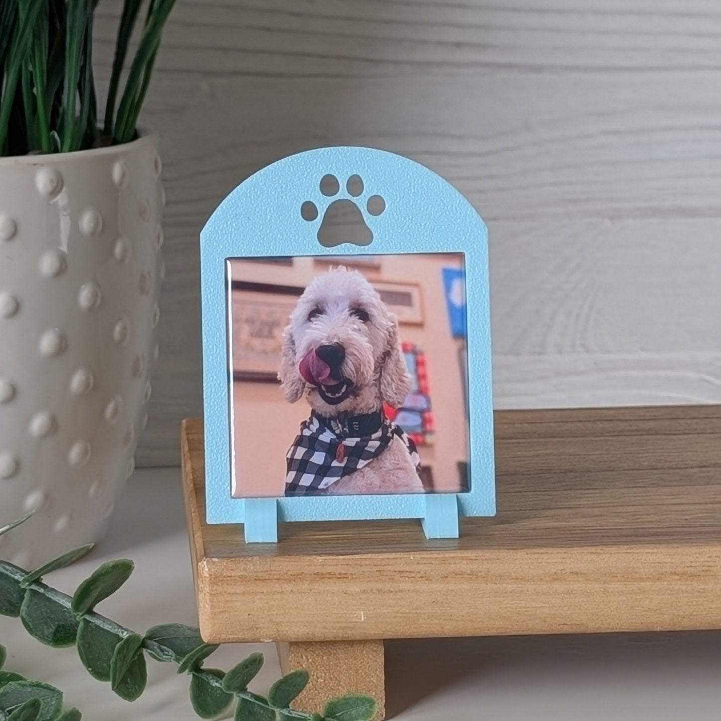 Spring Collection: Pawprint Frame - Mini