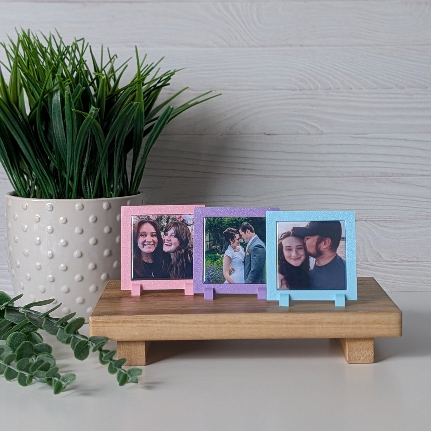 Spring Collection: Classic Frame - Mini