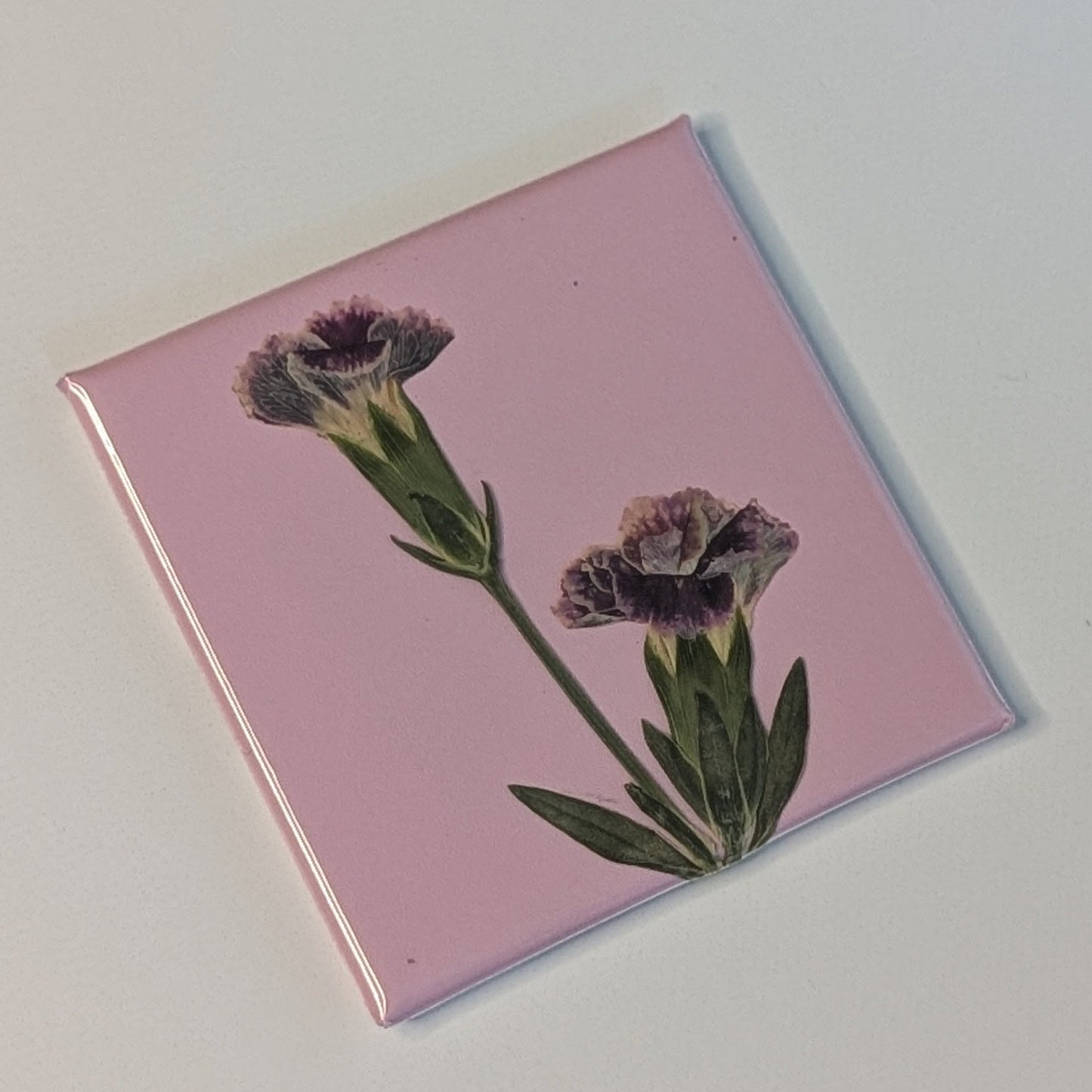 Real Flower Magnets