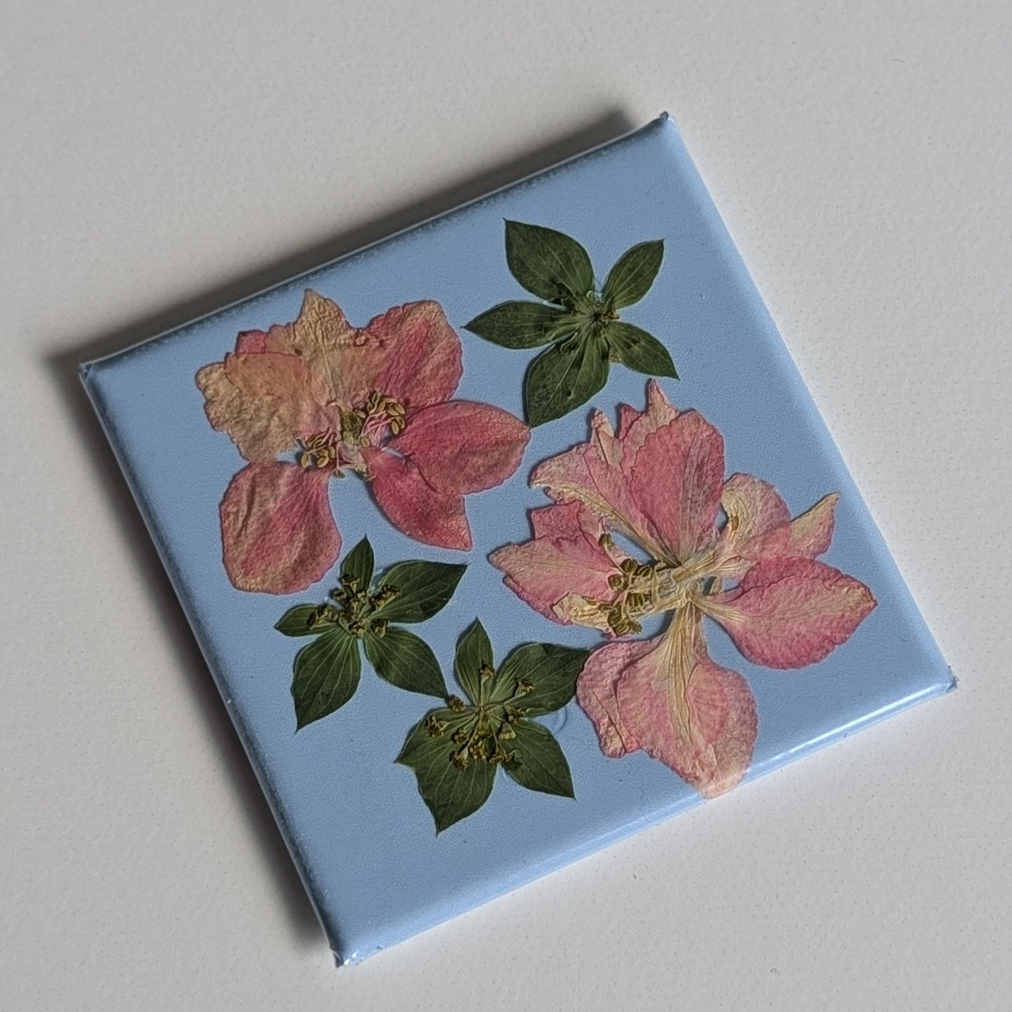Real Flower Magnets