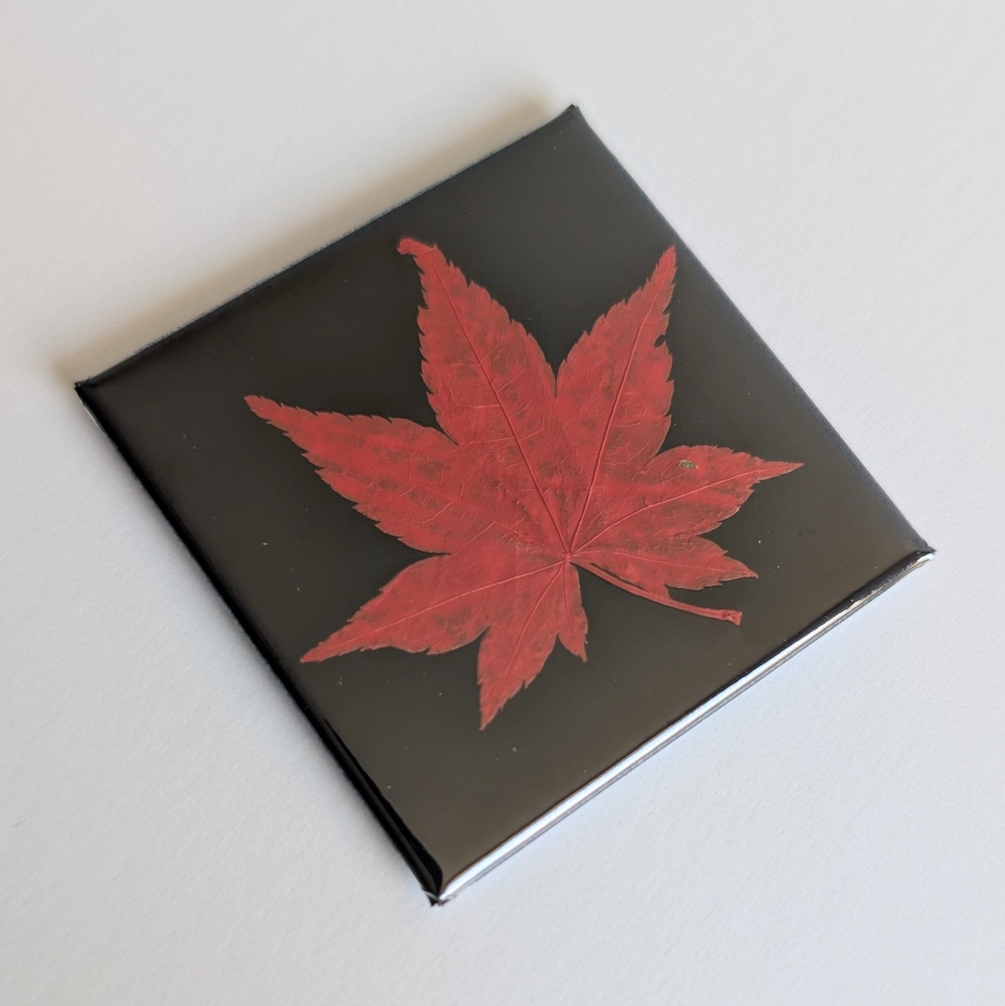 Real Flower Magnets