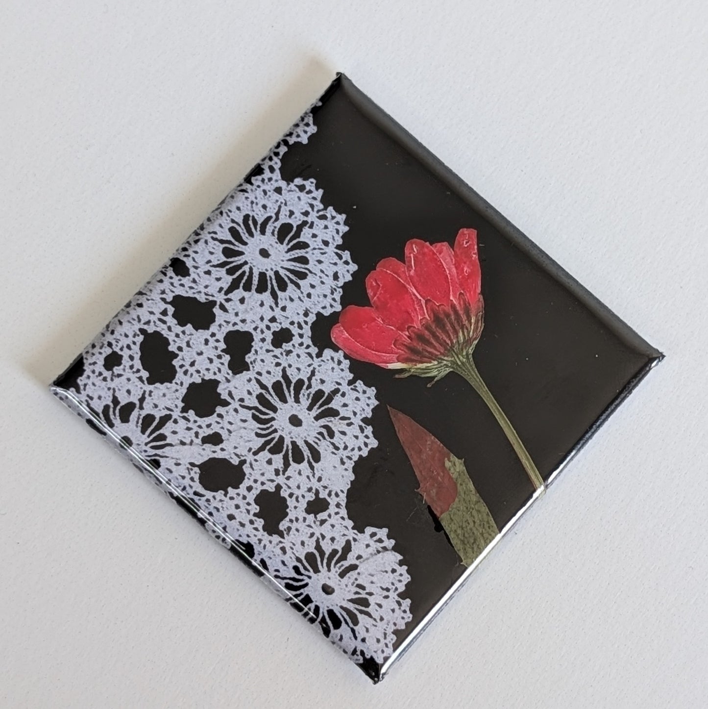 Real Flower Magnets