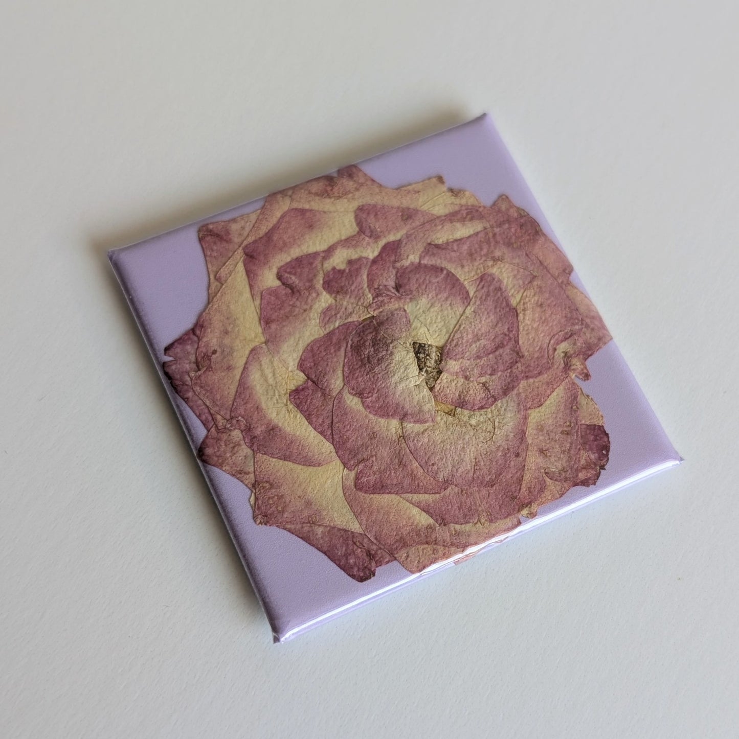 Real Flower Magnets