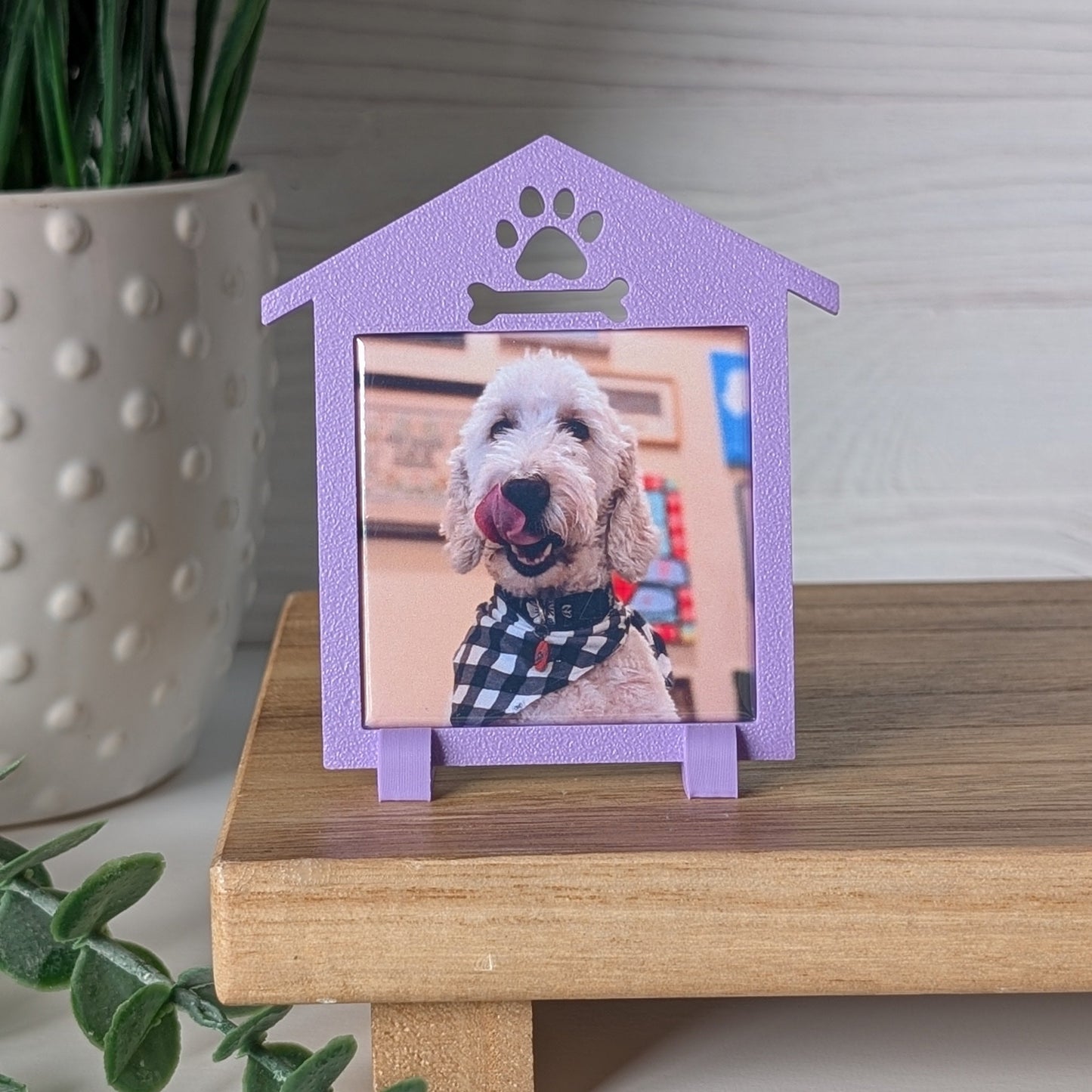 Spring Collection: Doghouse Frame - Mini