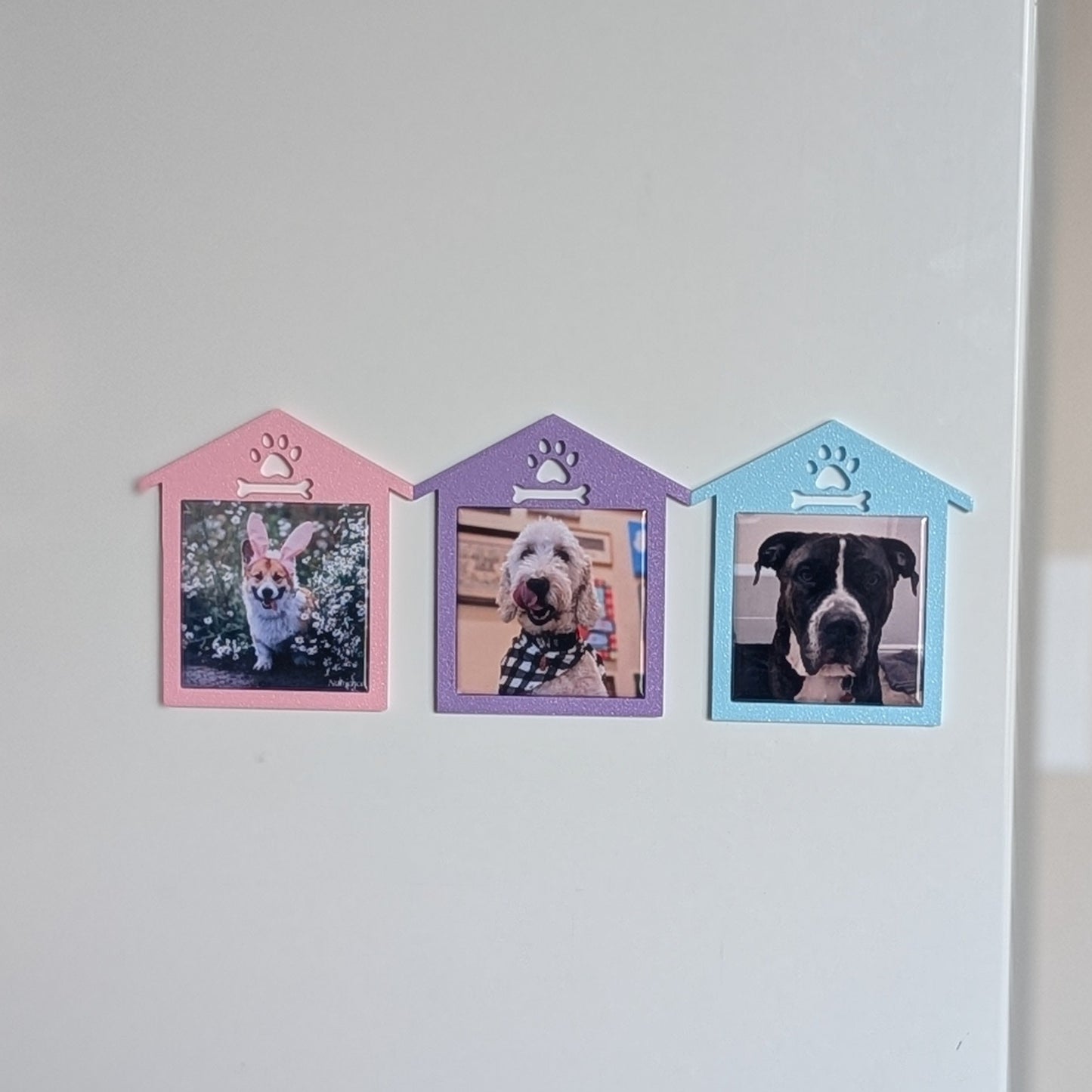 Spring Collection: Doghouse Frame - Mini