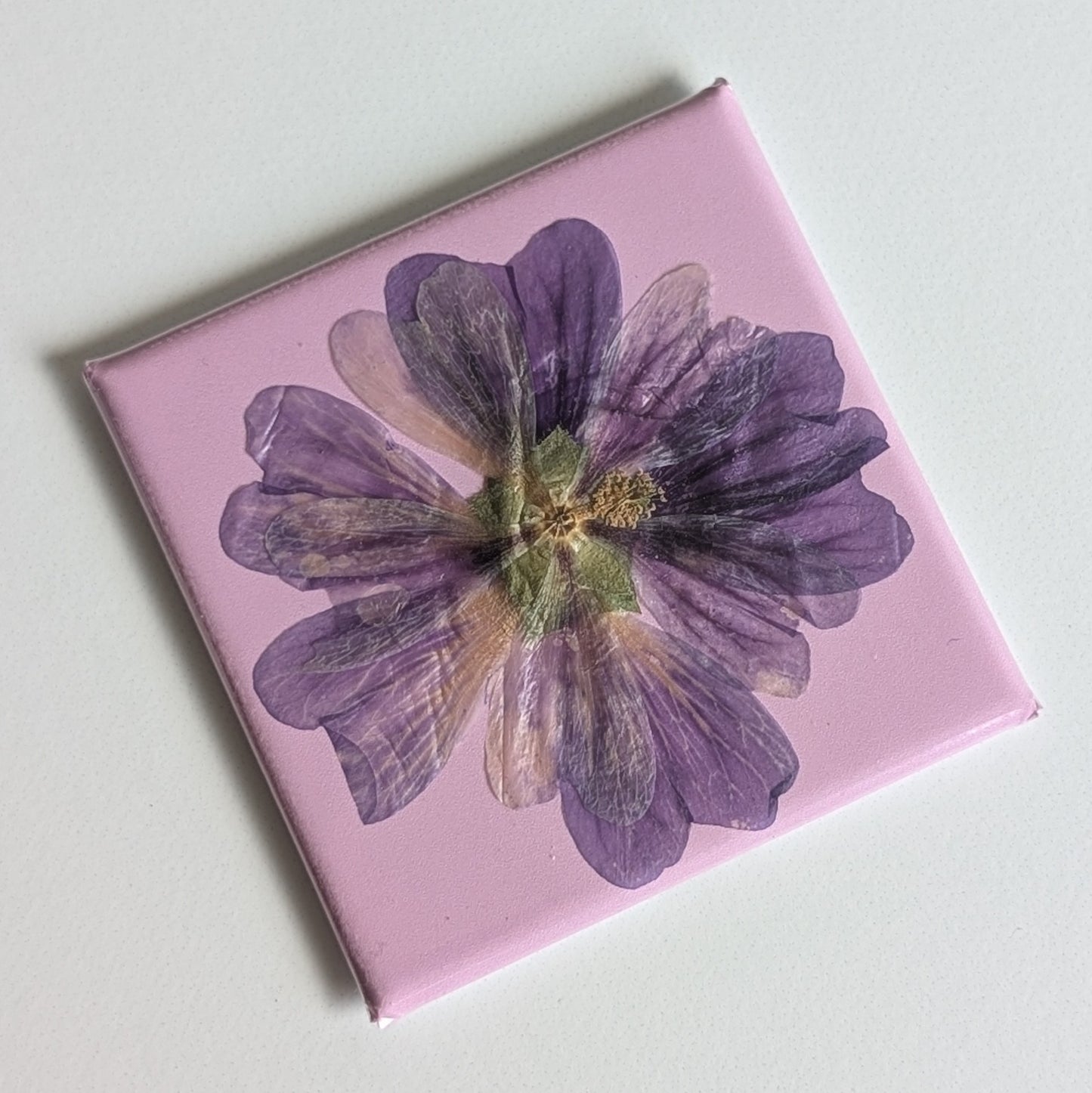 Real Flower Magnets