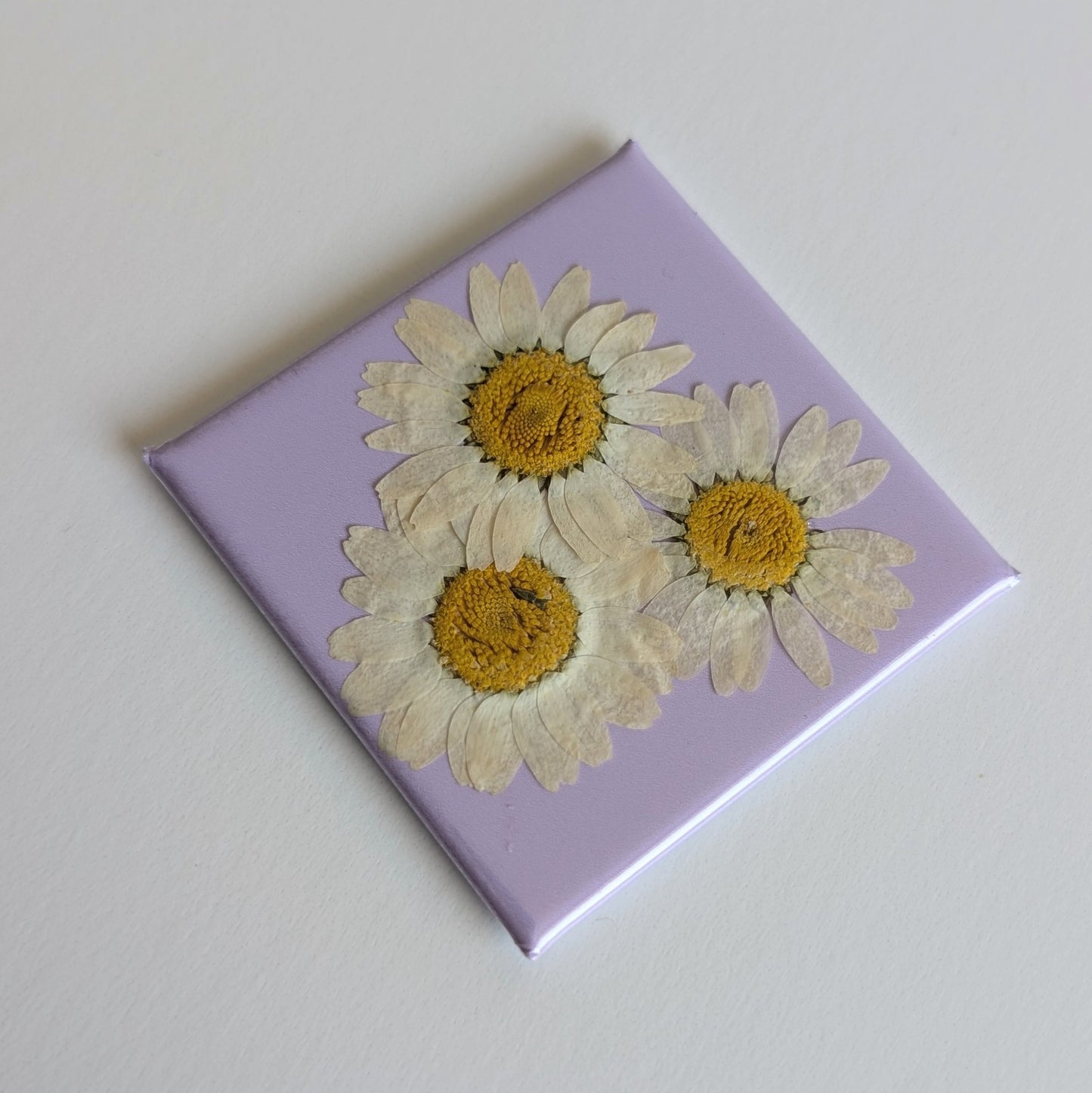 Real Flower Magnets