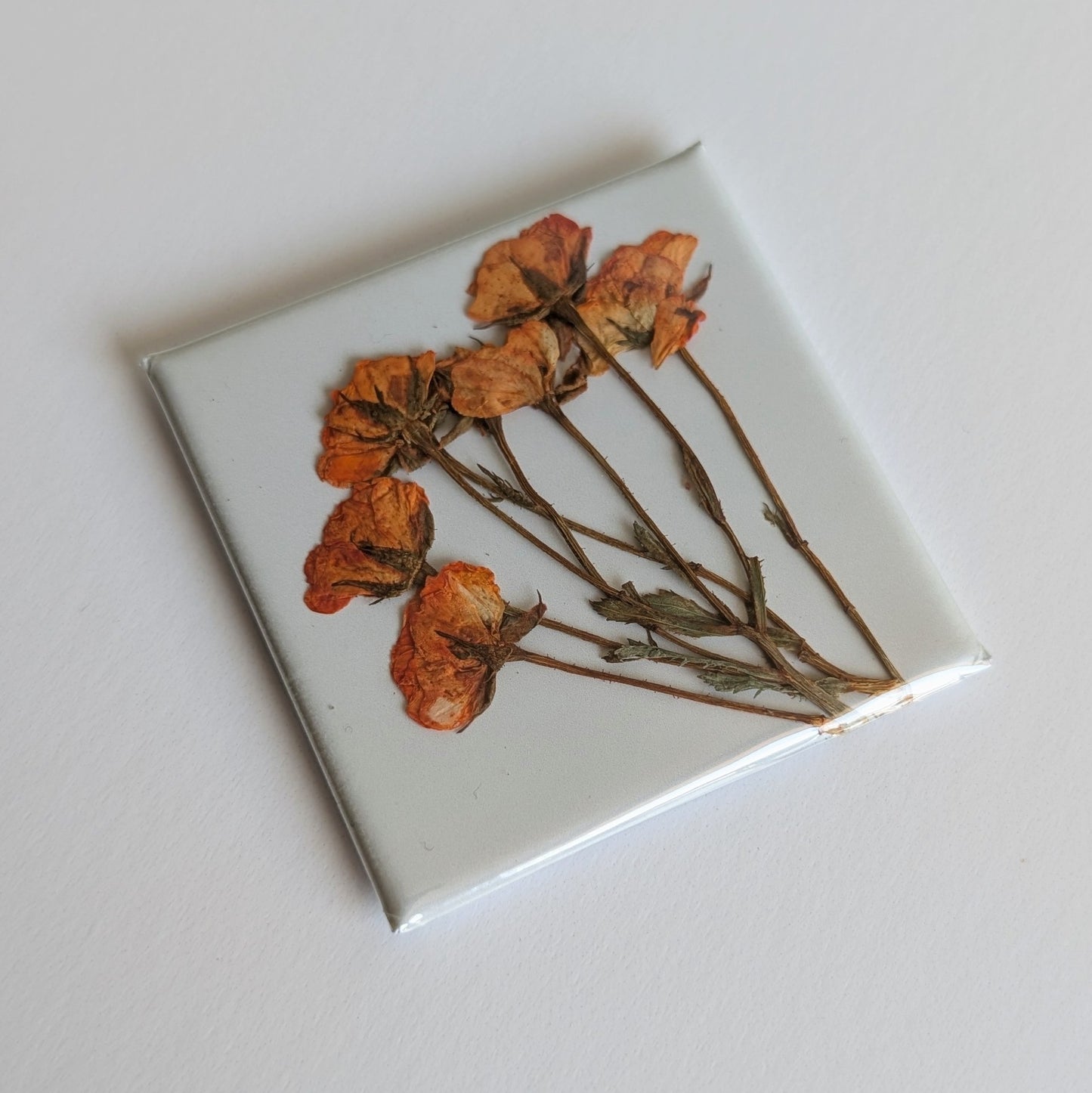 Real Flower Magnets