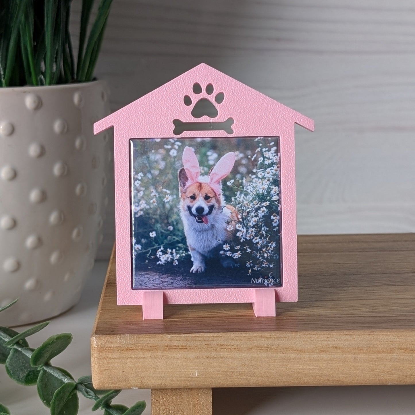 Spring Collection: Doghouse Frame - Mini