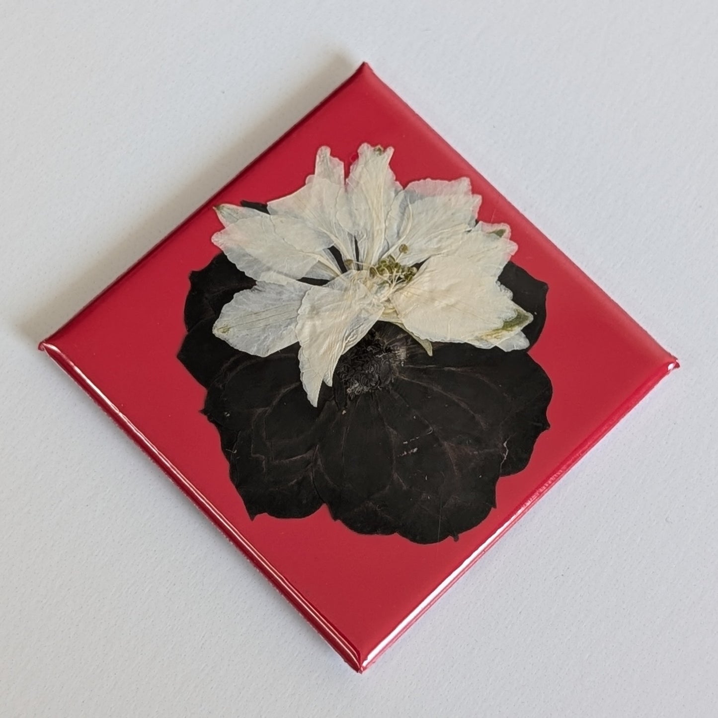 Real Flower Magnets