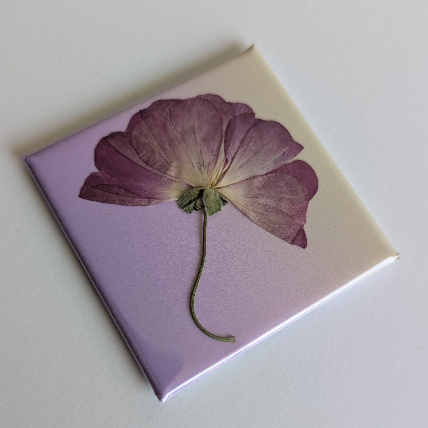Real Flower Magnets