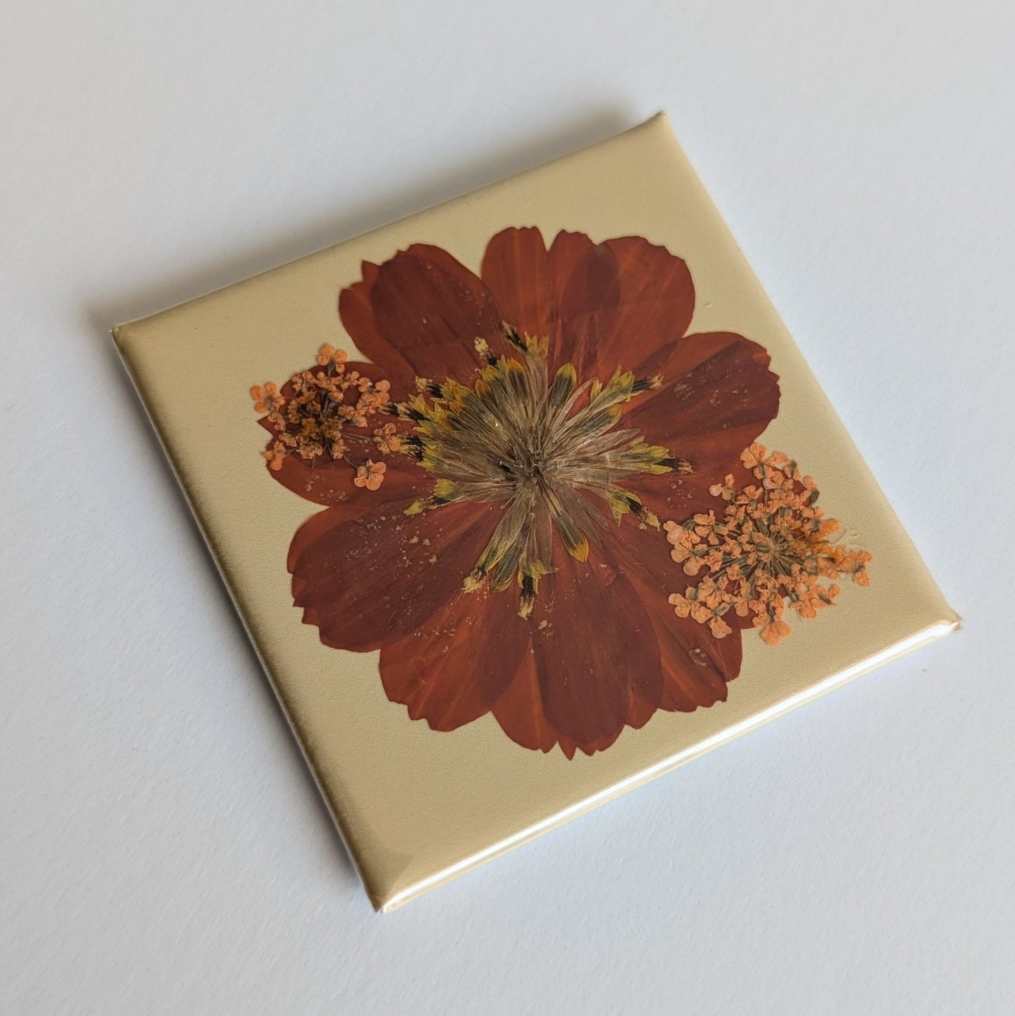 Real Flower Magnets