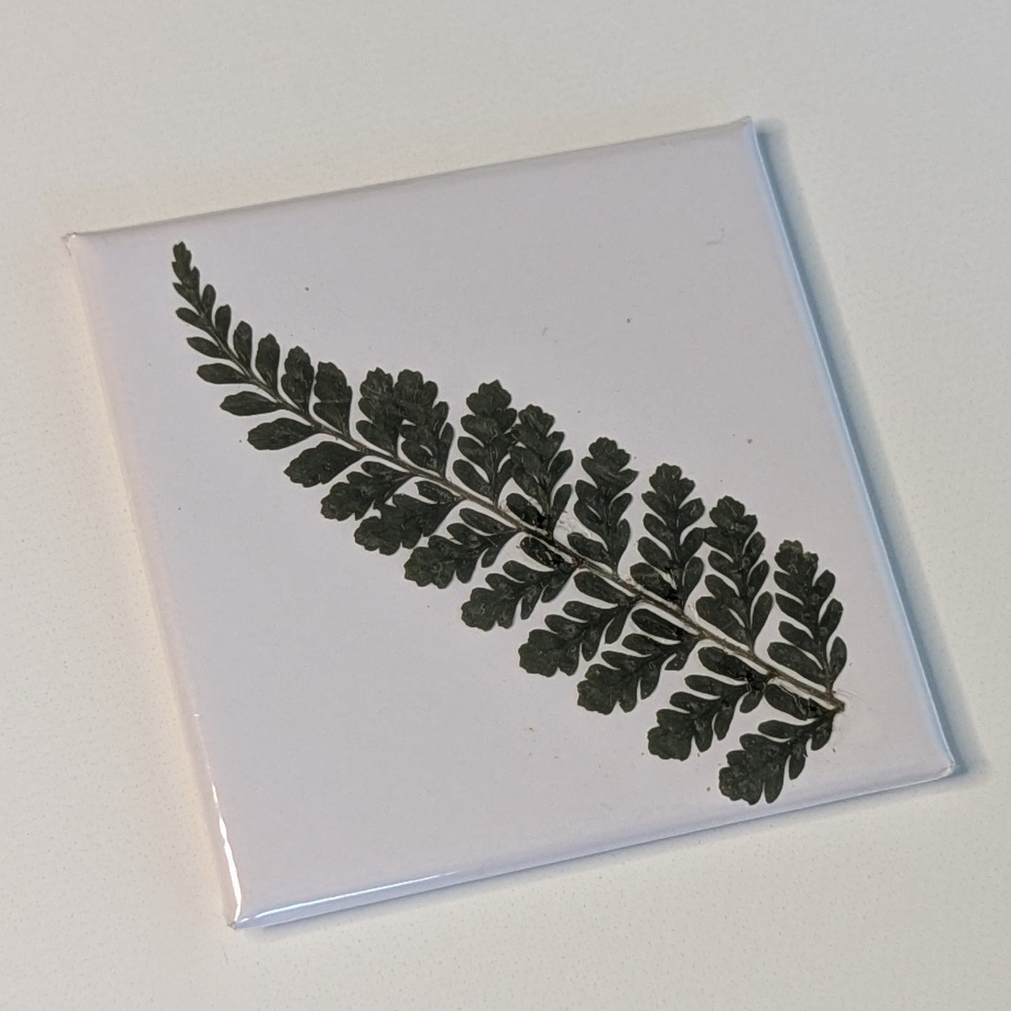 Real Flower Magnets