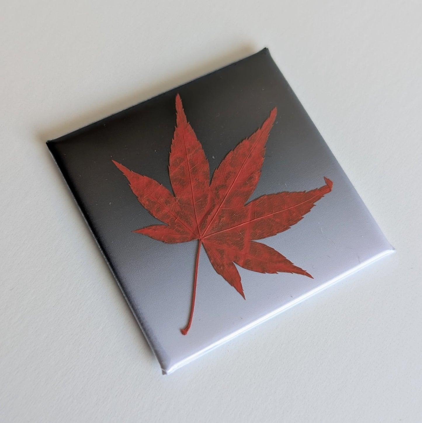 Real Flower Magnets