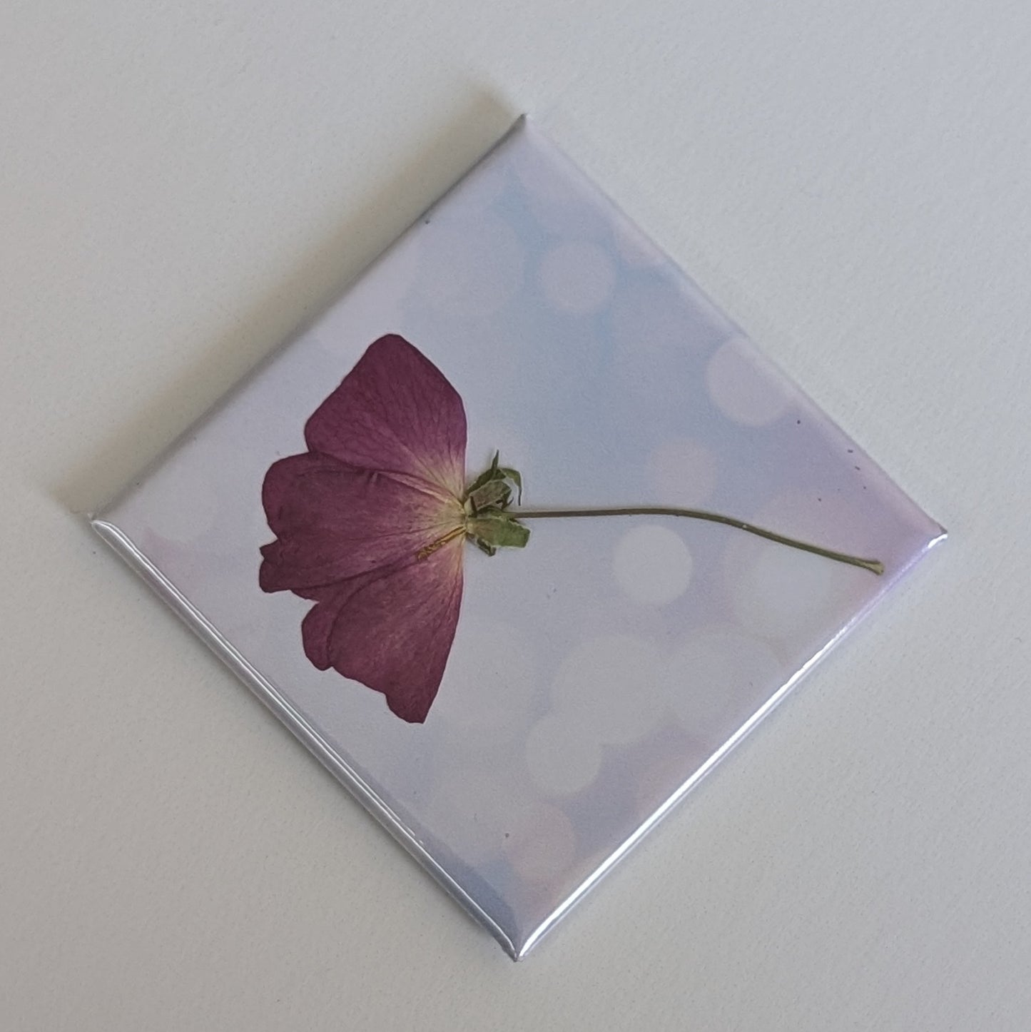Real Flower Magnets