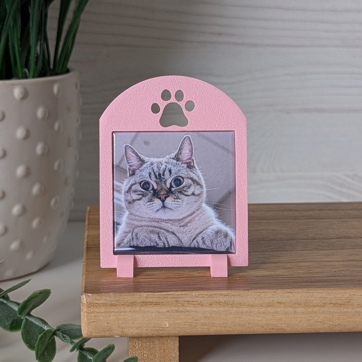 Spring Collection: Pawprint Frame - Mini