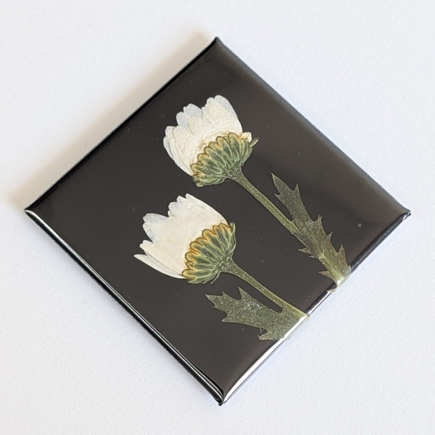Real Flower Magnets