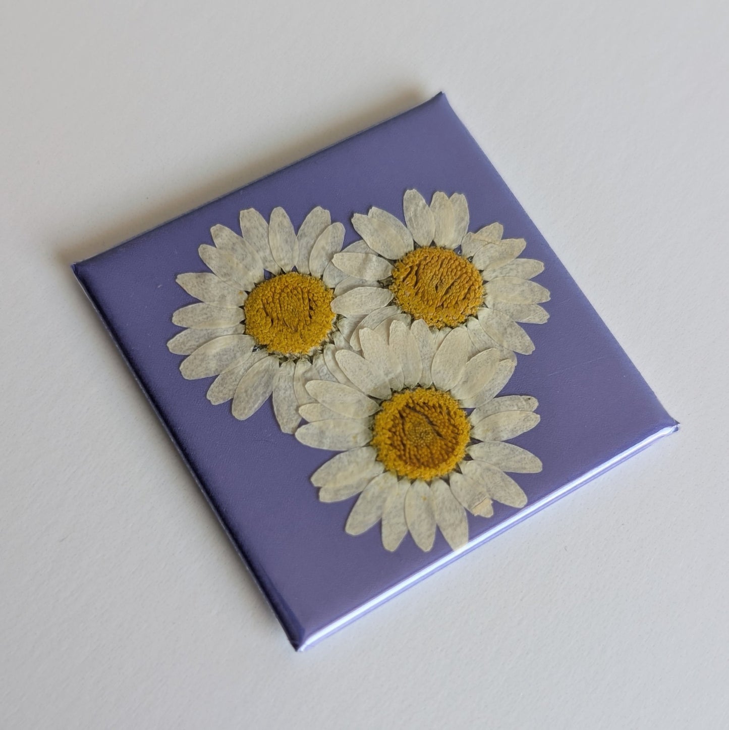 Real Flower Magnets
