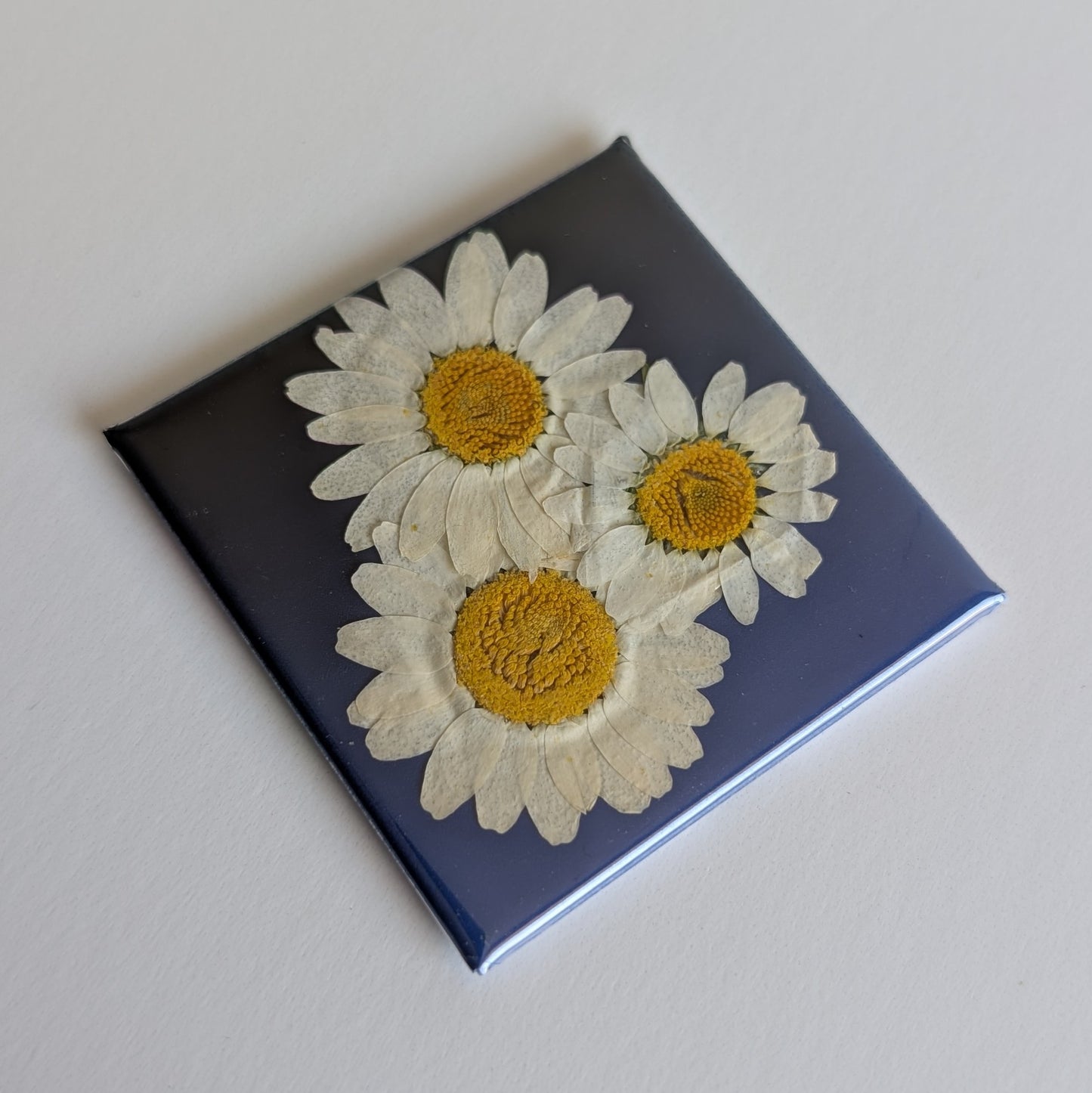 Real Flower Magnets