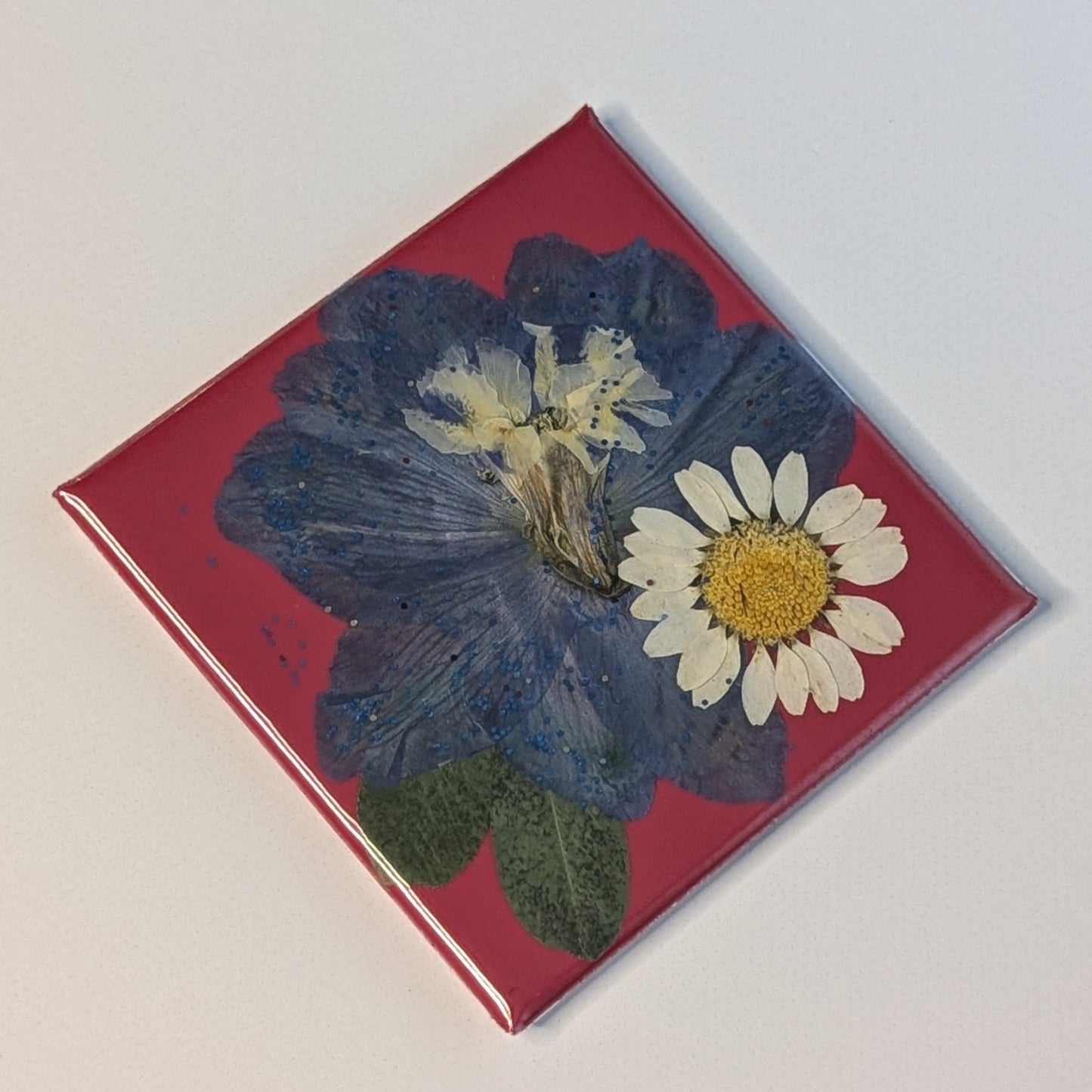 Real Flower Magnets