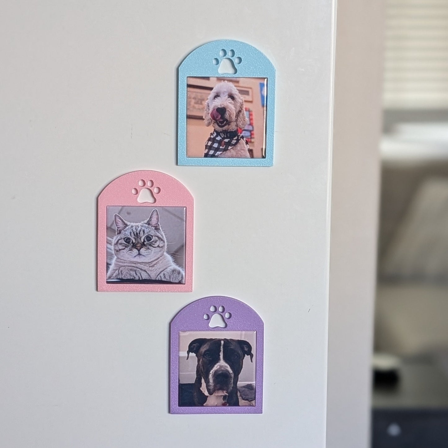 Spring Collection: Pawprint Frame - Mini