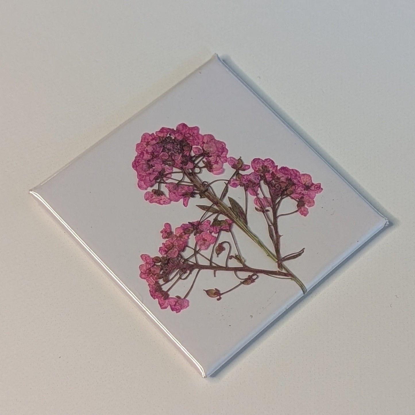 Real Flower Magnets