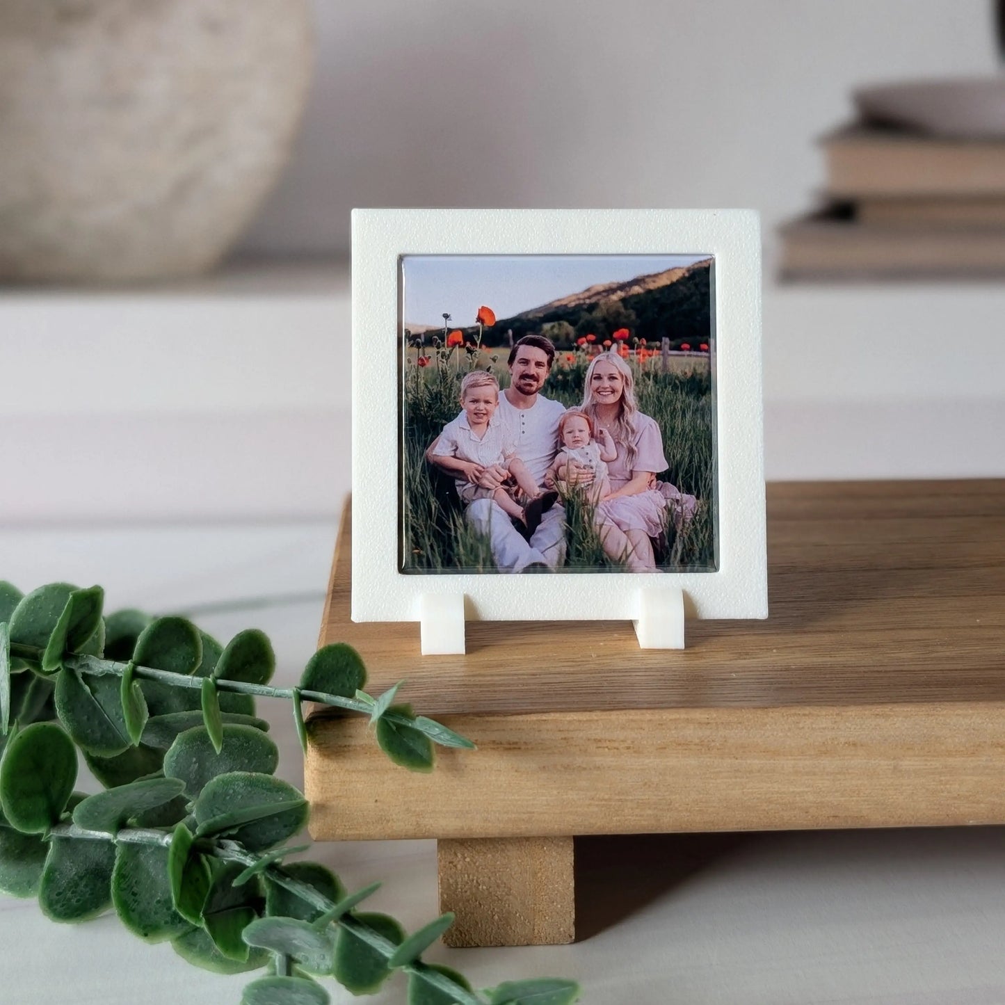 Classic Frame - Mini