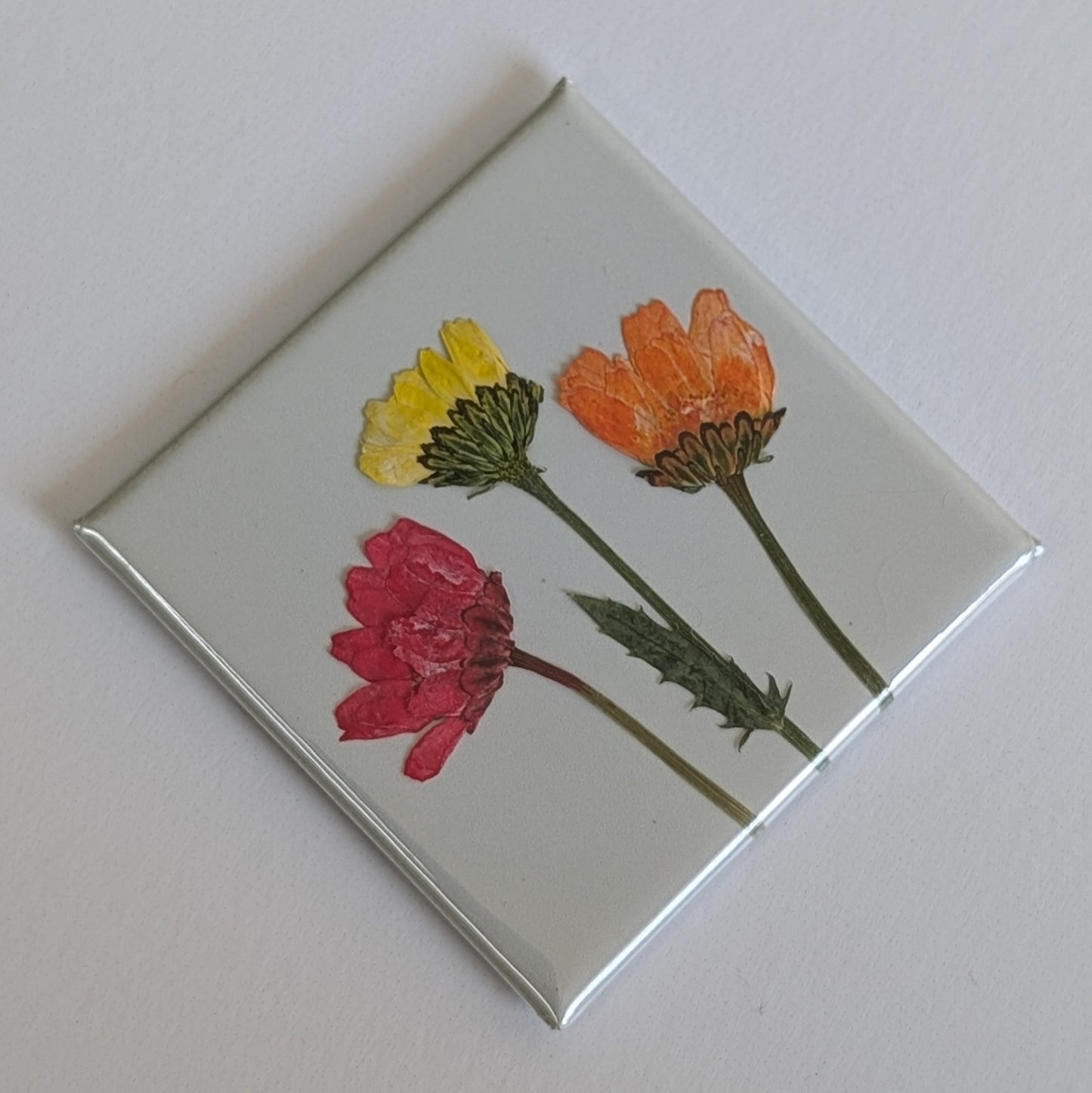 Real Flower Magnets