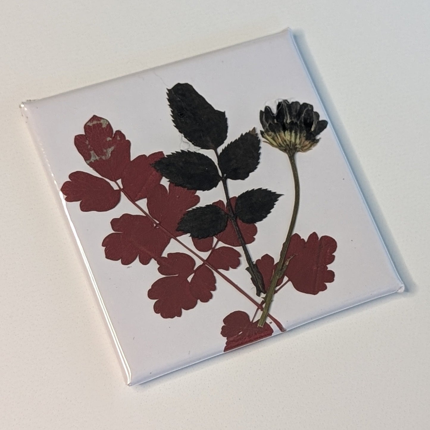 Real Flower Magnets