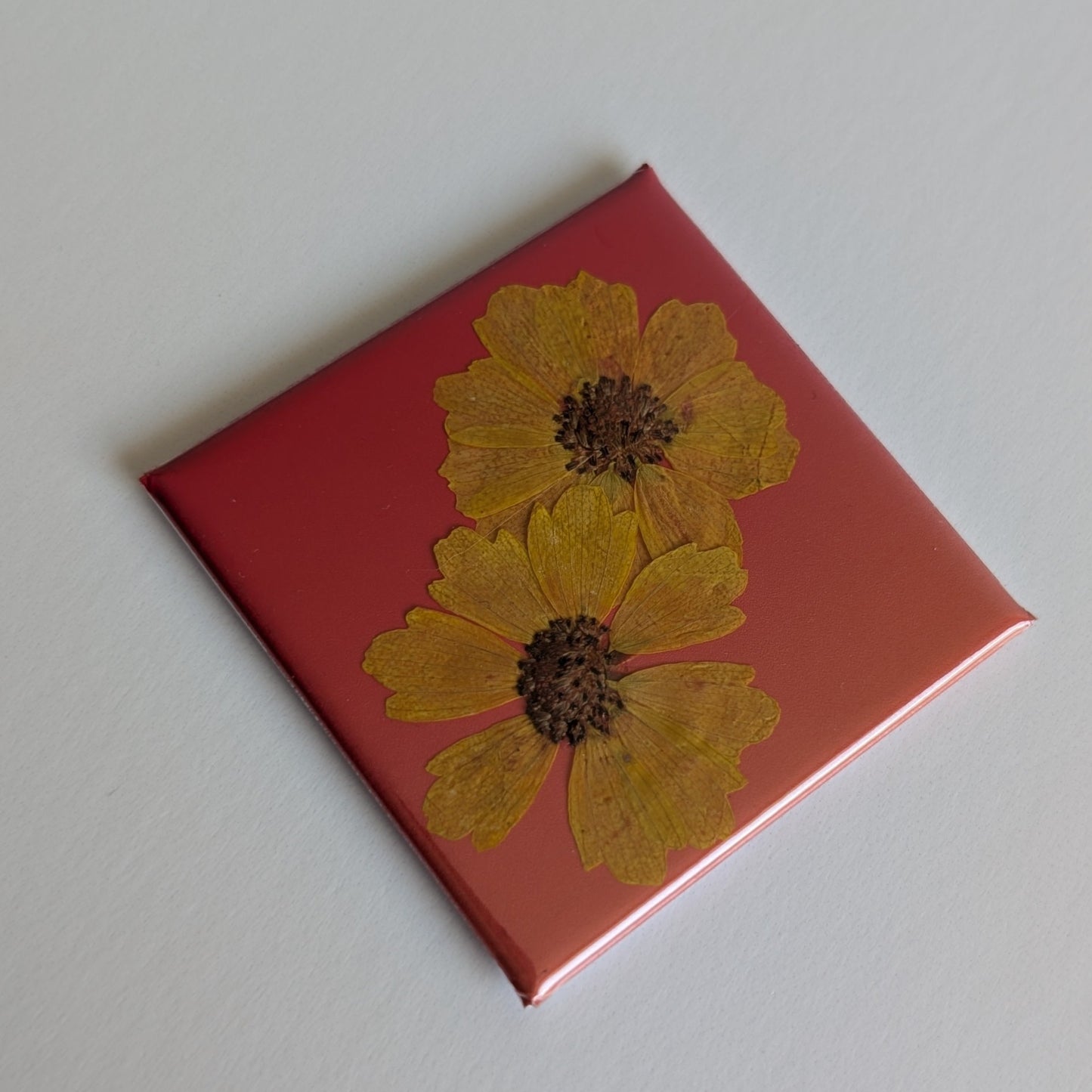 Real Flower Magnets