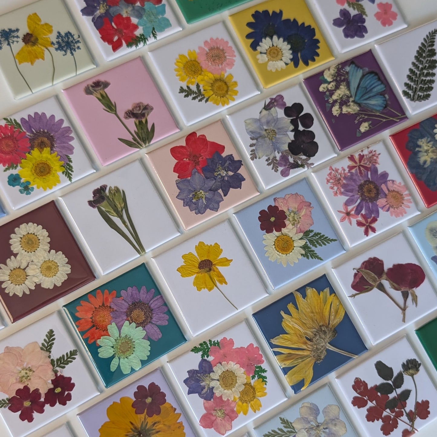 Real Flower Magnets
