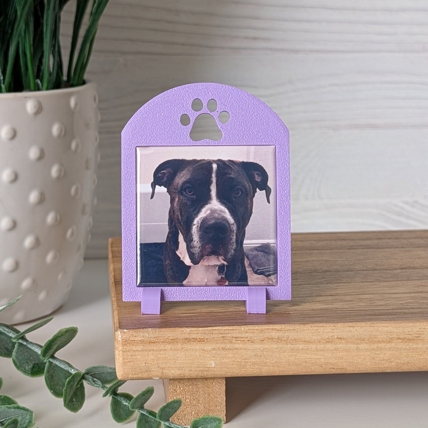 Spring Collection: Pawprint Frame - Mini