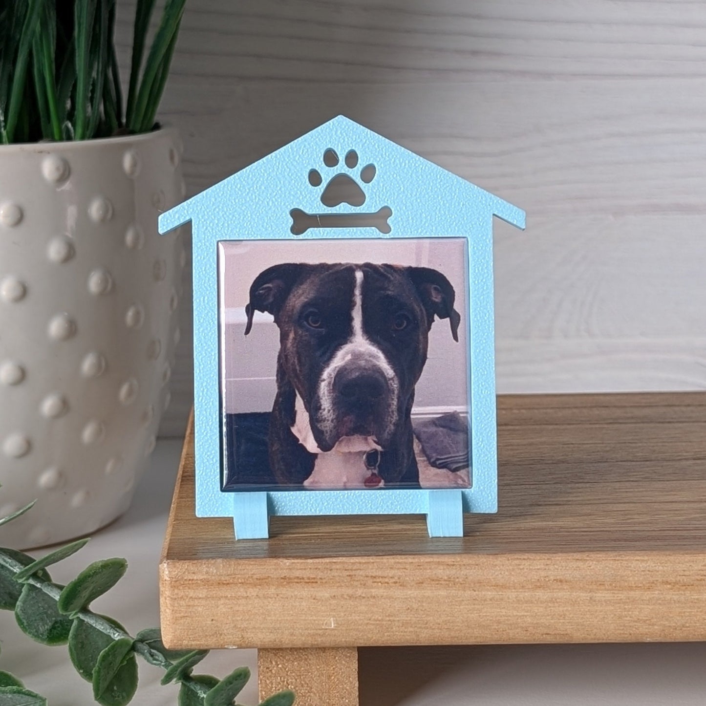 Spring Collection: Doghouse Frame - Mini