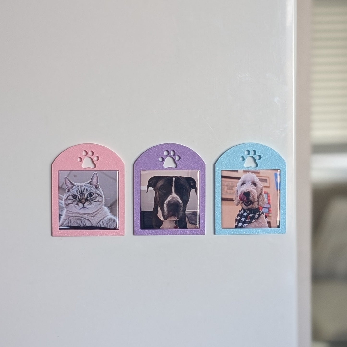 Spring Collection: Pawprint Frame - Mini