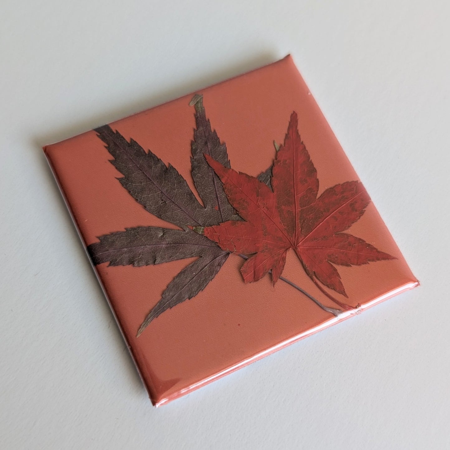 Real Flower Magnets