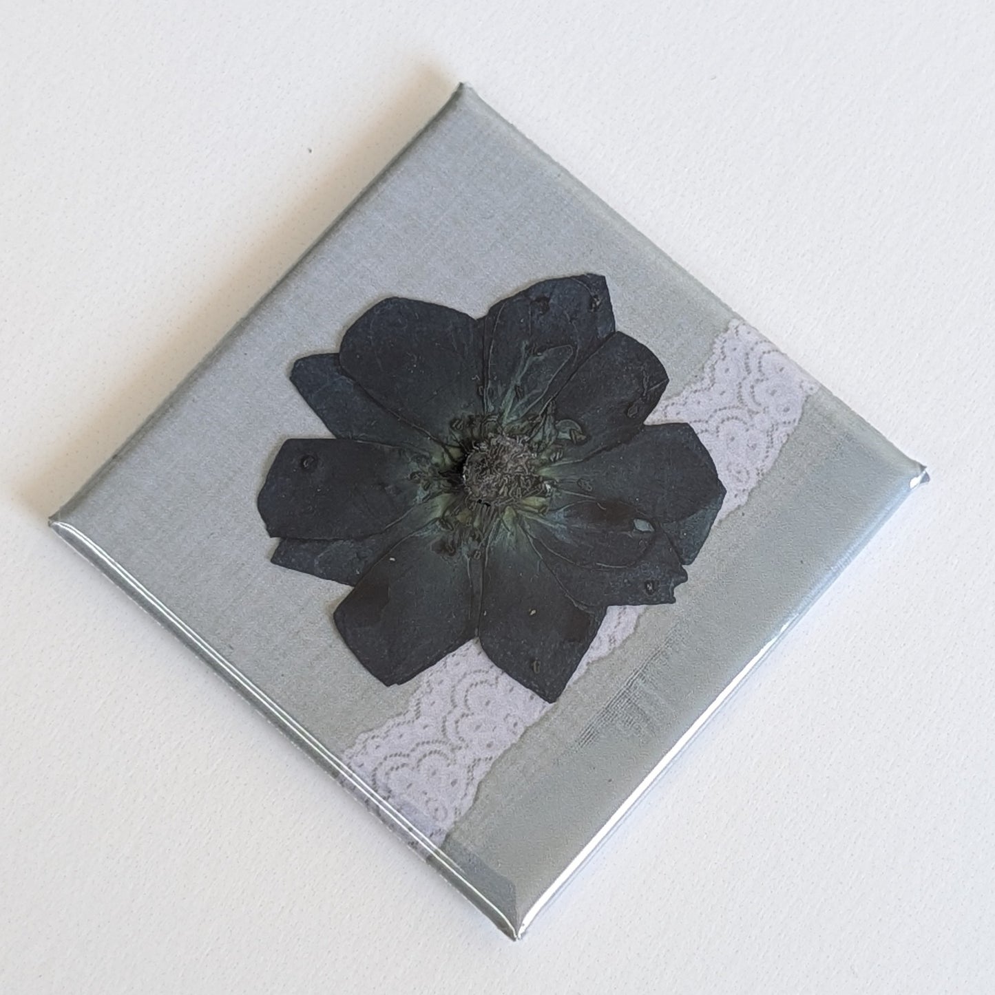 Real Flower Magnets