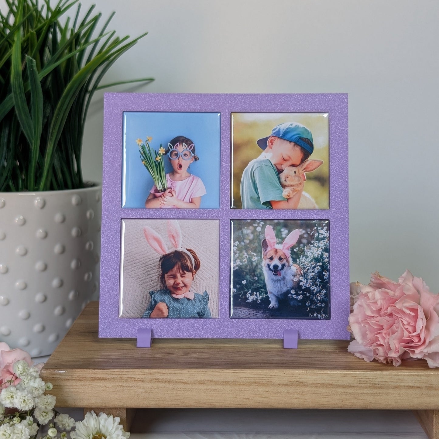 Spring Collection: Classic Frame
