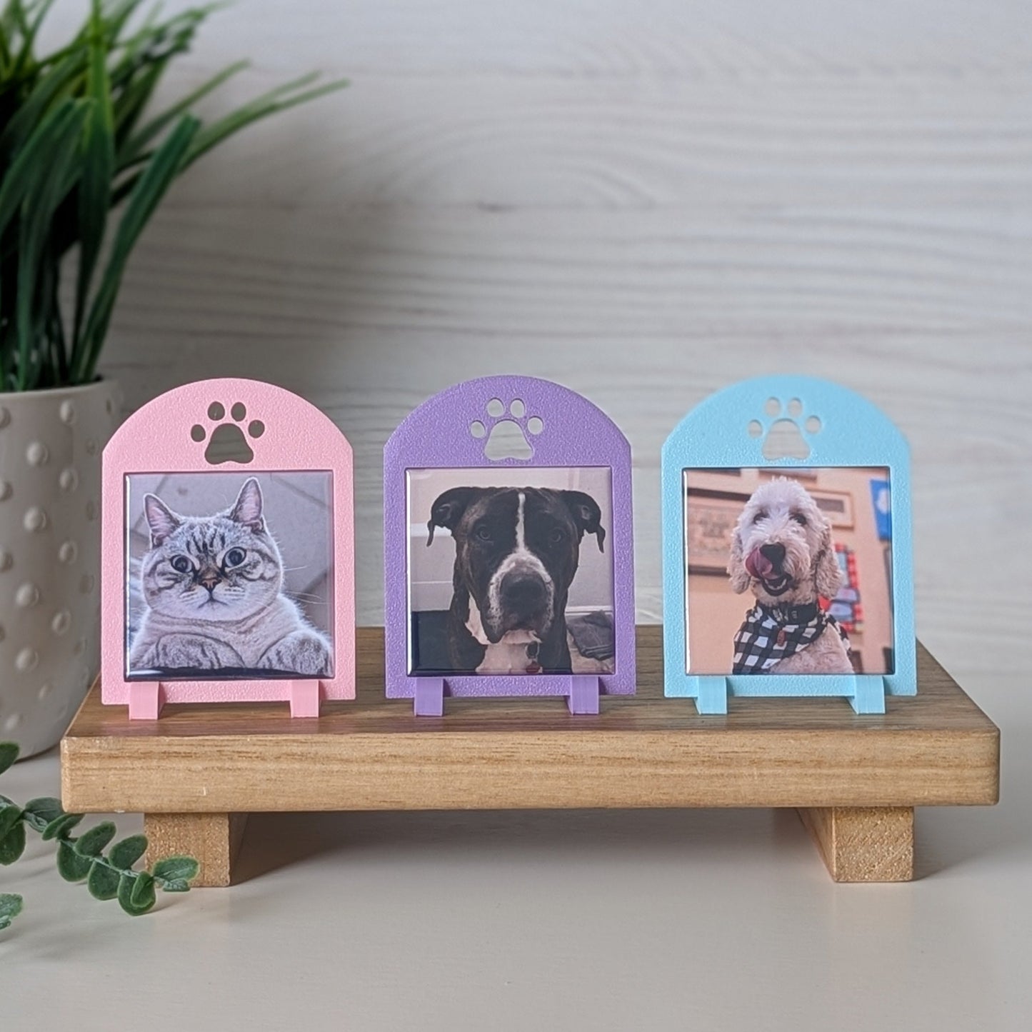 Spring Collection: Pawprint Frame - Mini