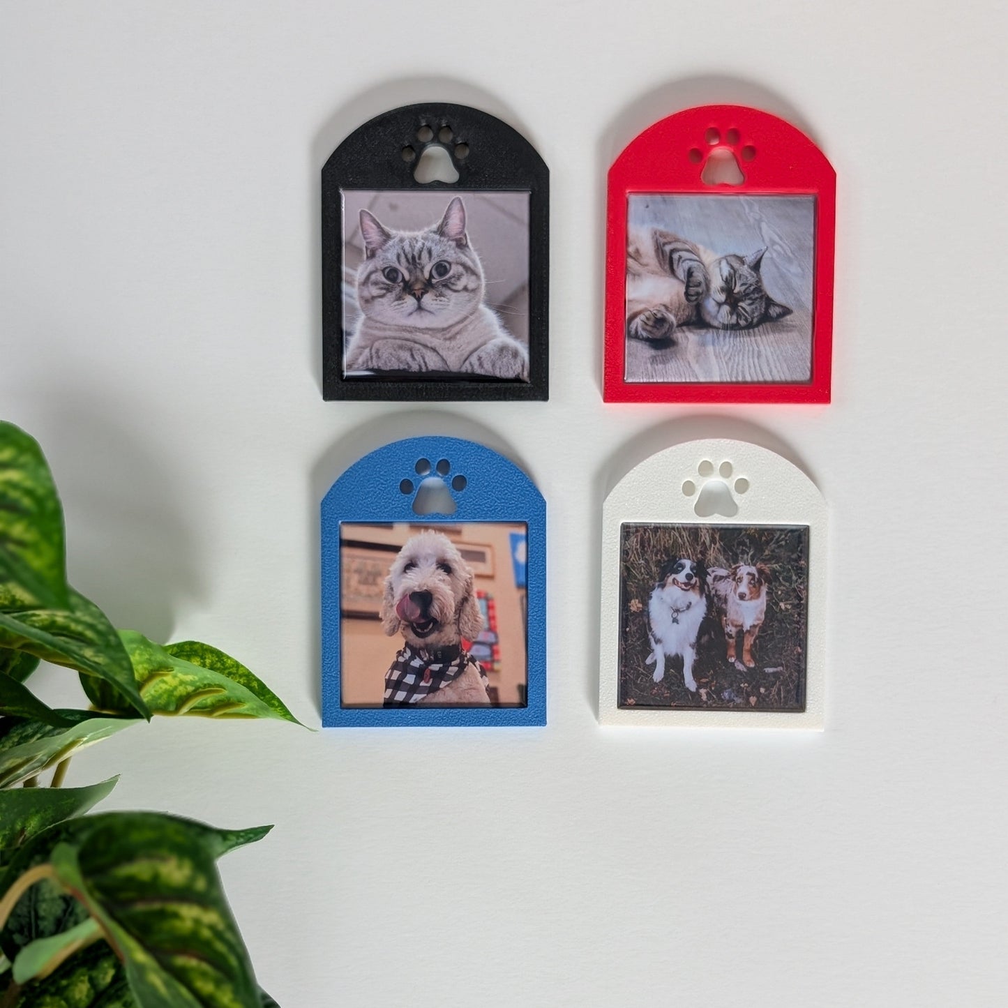 Pawprint Frame - Mini