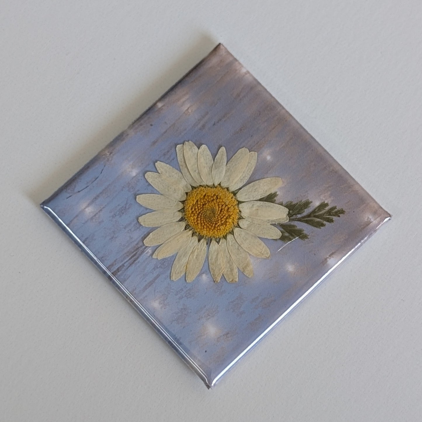 Real Flower Magnets