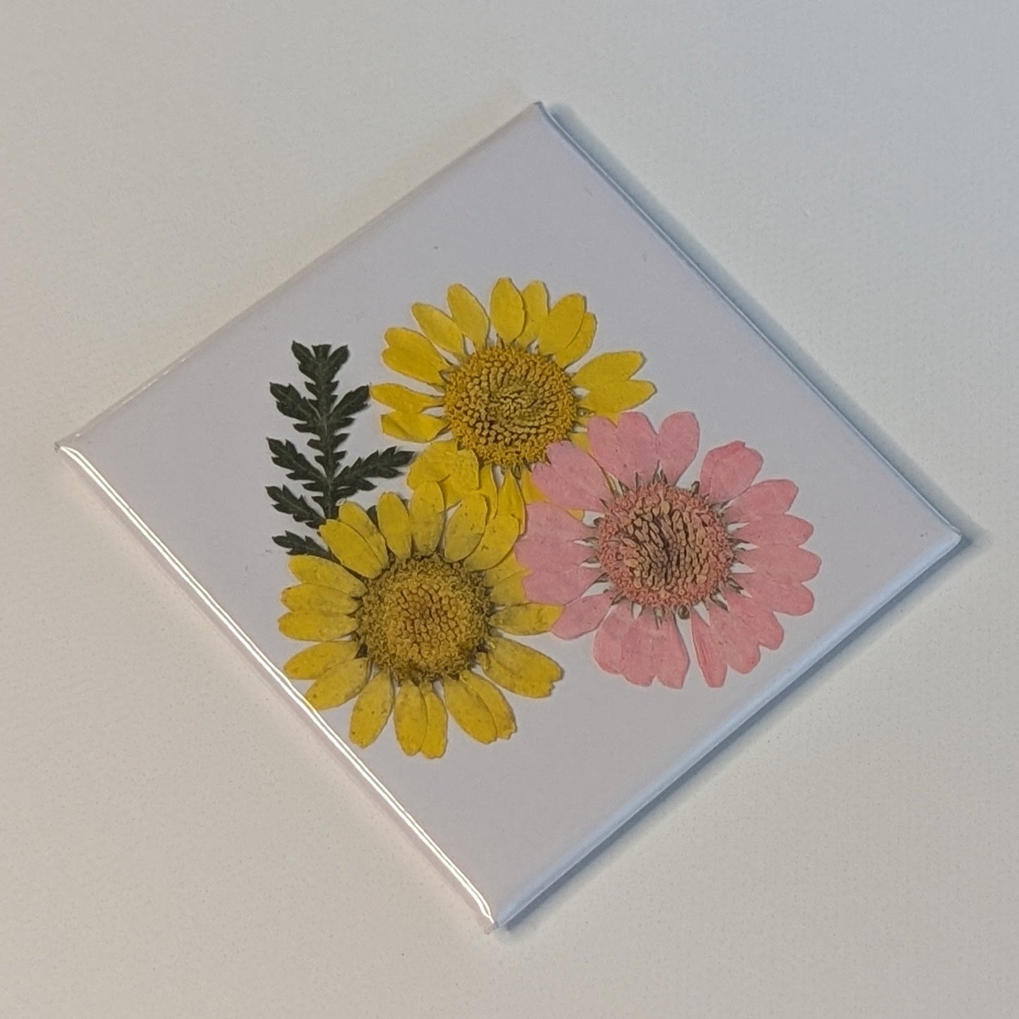 Real Flower Magnets
