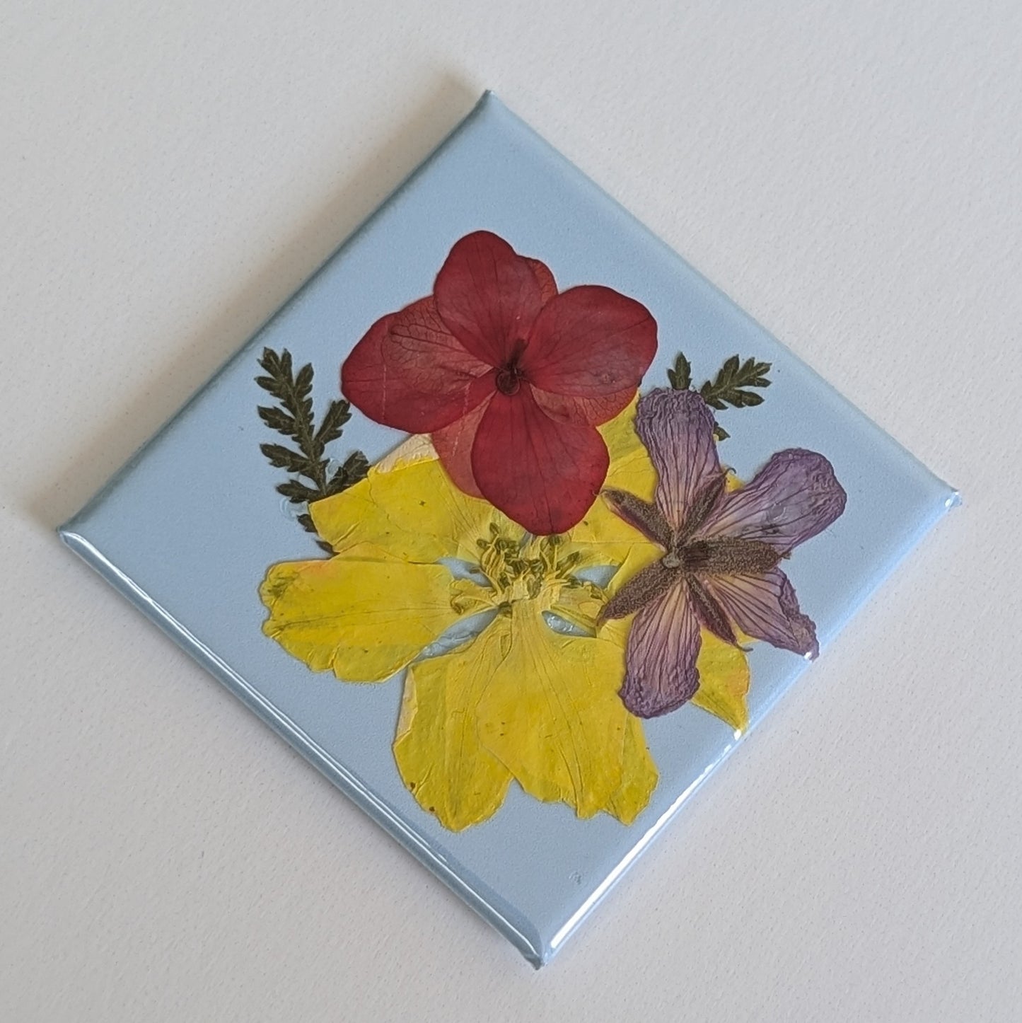 Real Flower Magnets