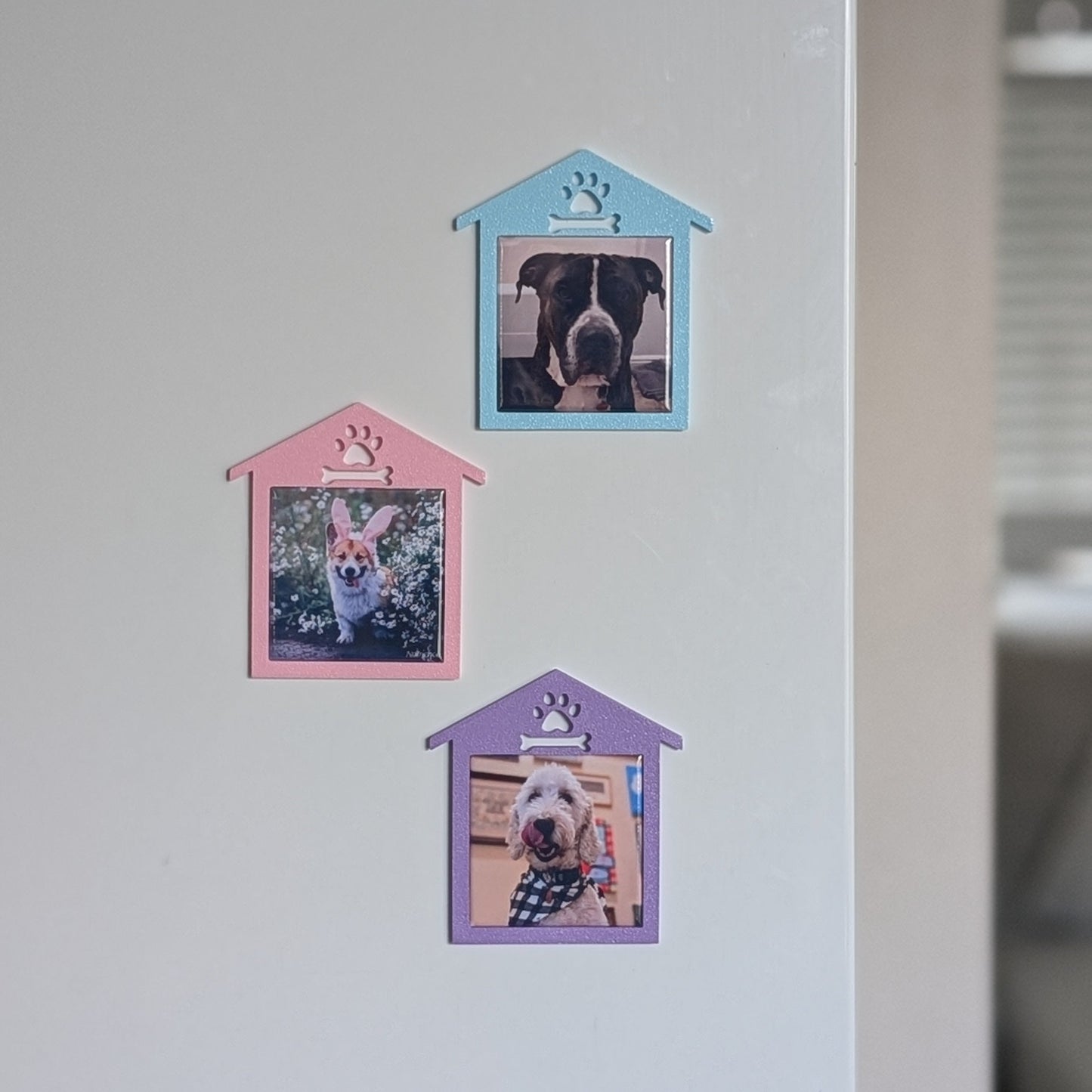 Spring Collection: Doghouse Frame - Mini