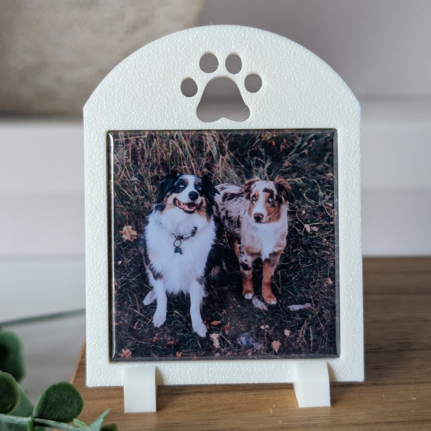 Pawprint Frame - Mini