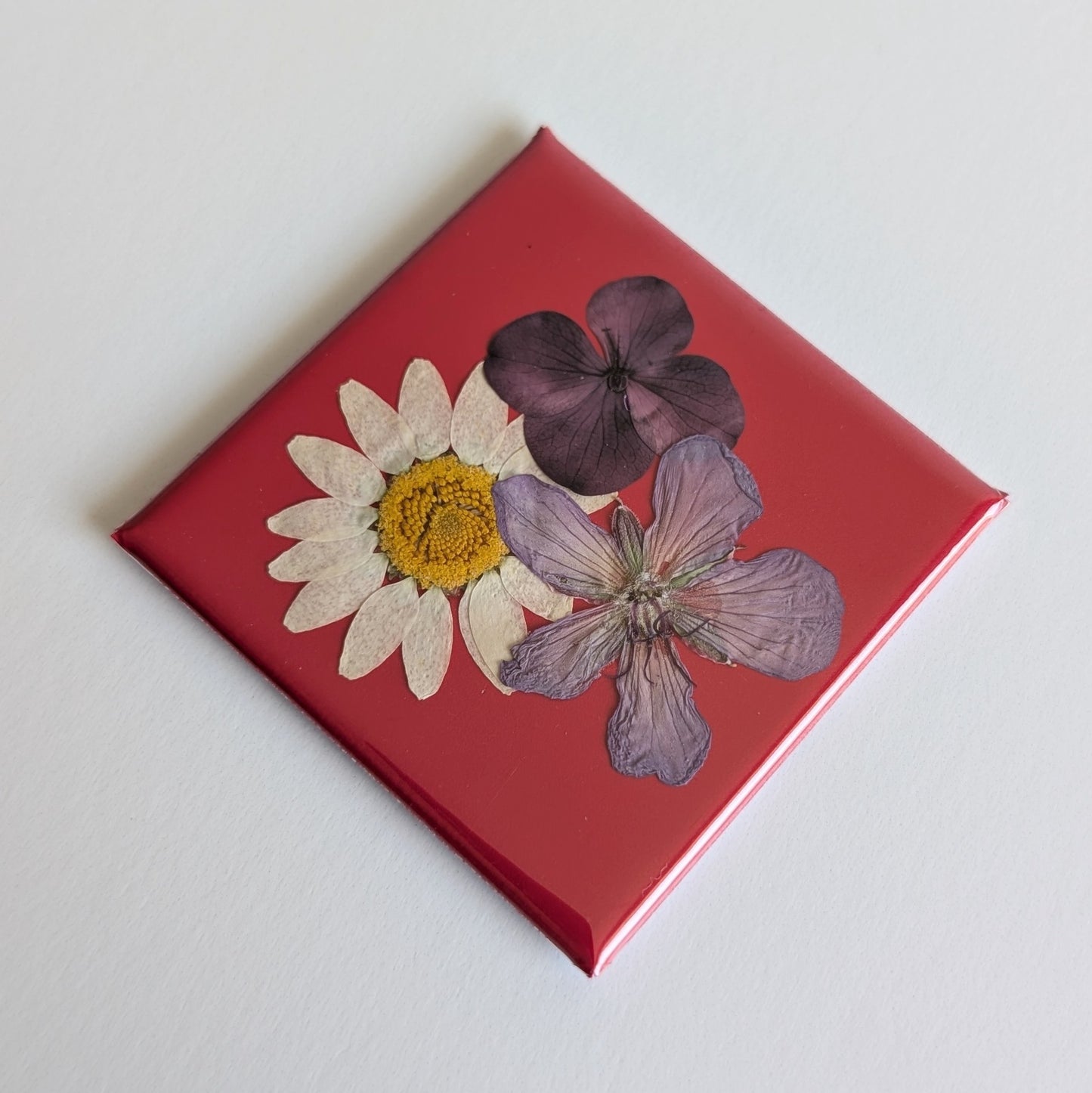 Real Flower Magnets